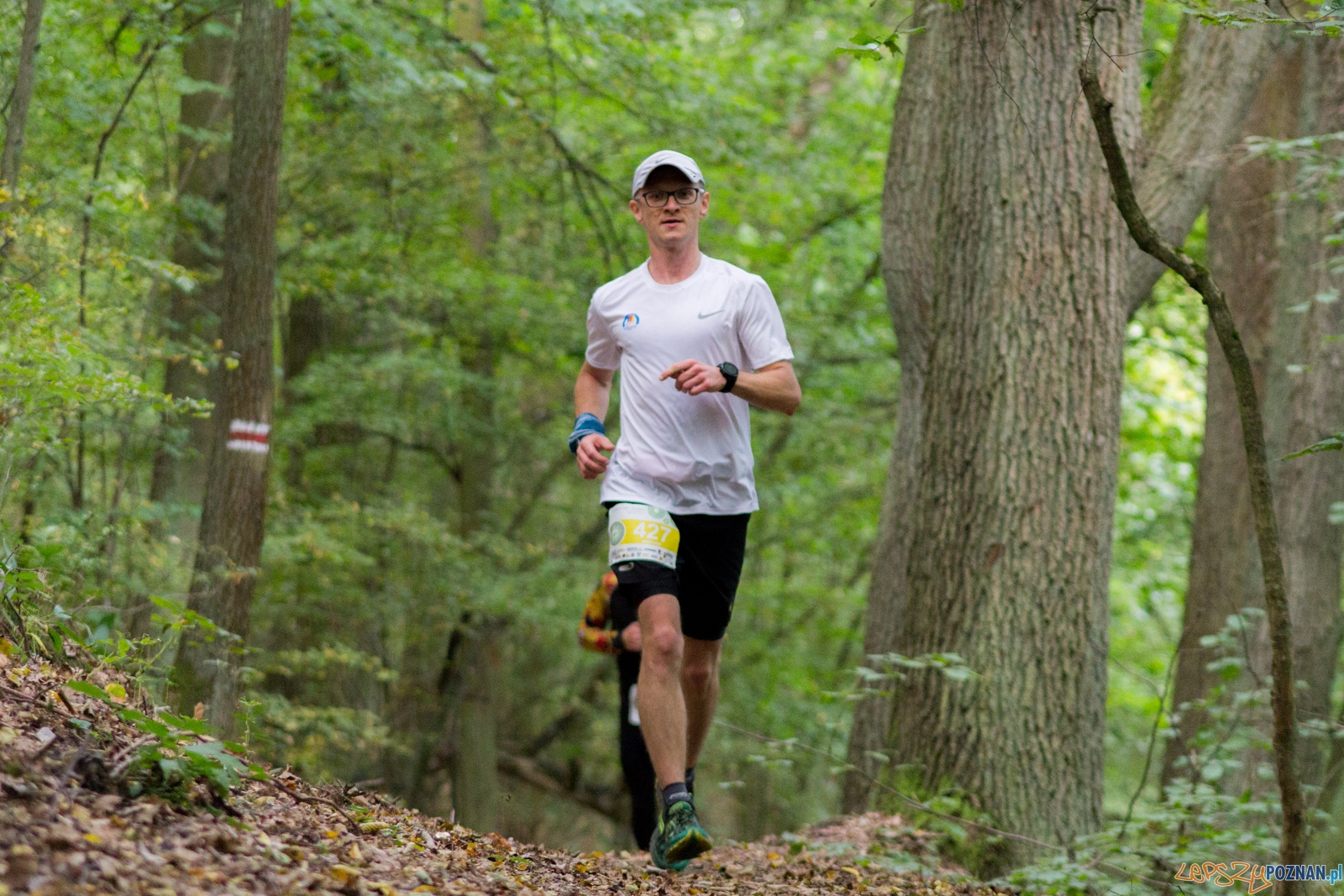 Forest Run Foto: lepszyPOZNAN.pl / Ewelina Jaskowiak Forest Run Foto: lepszyPOZNAN.pl / Ewelina Jaskowiak