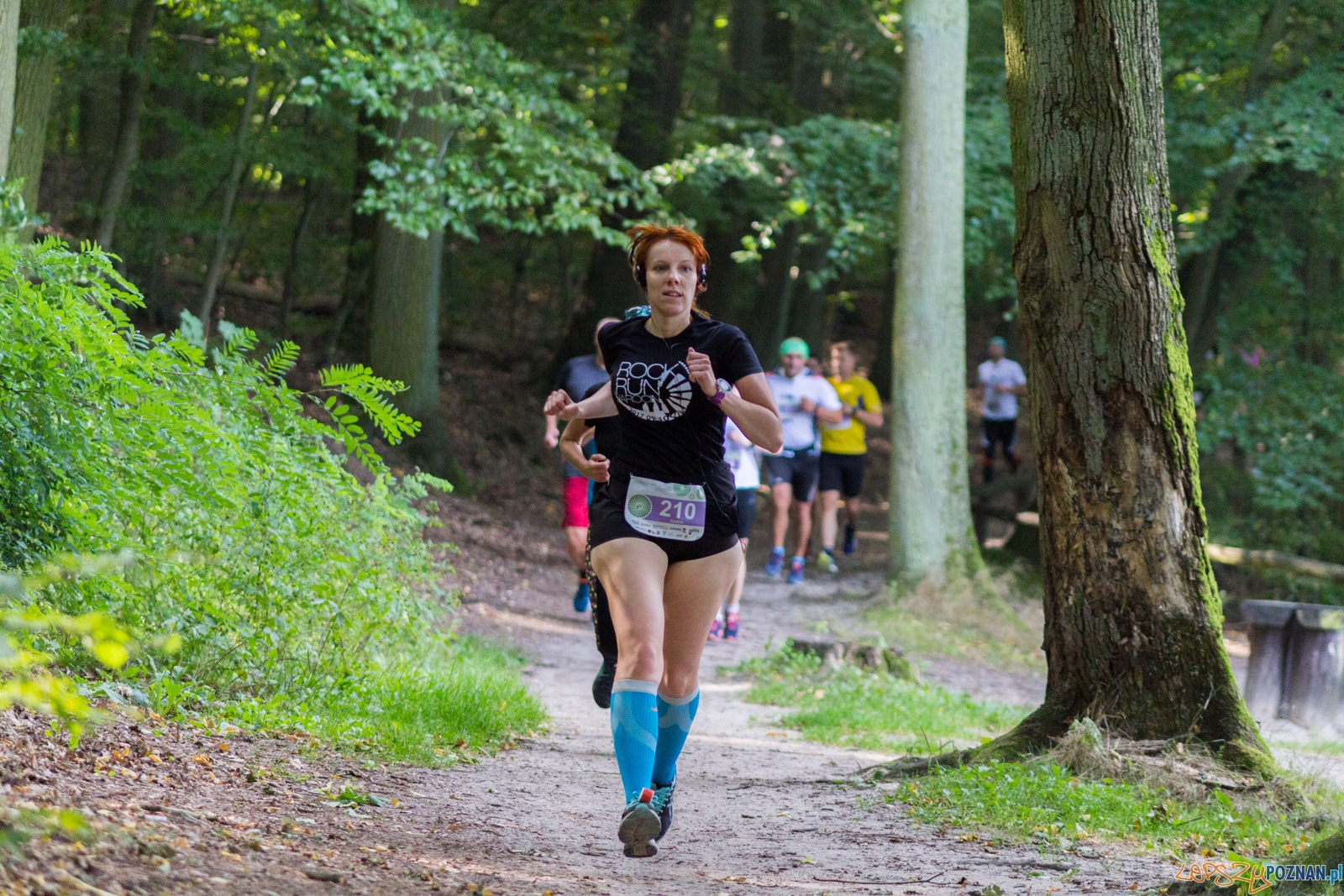 Forest Run Foto: lepszyPOZNAN.pl / Ewelina Jaskowiak Forest Run Foto: lepszyPOZNAN.pl / Ewelina Jaskowiak