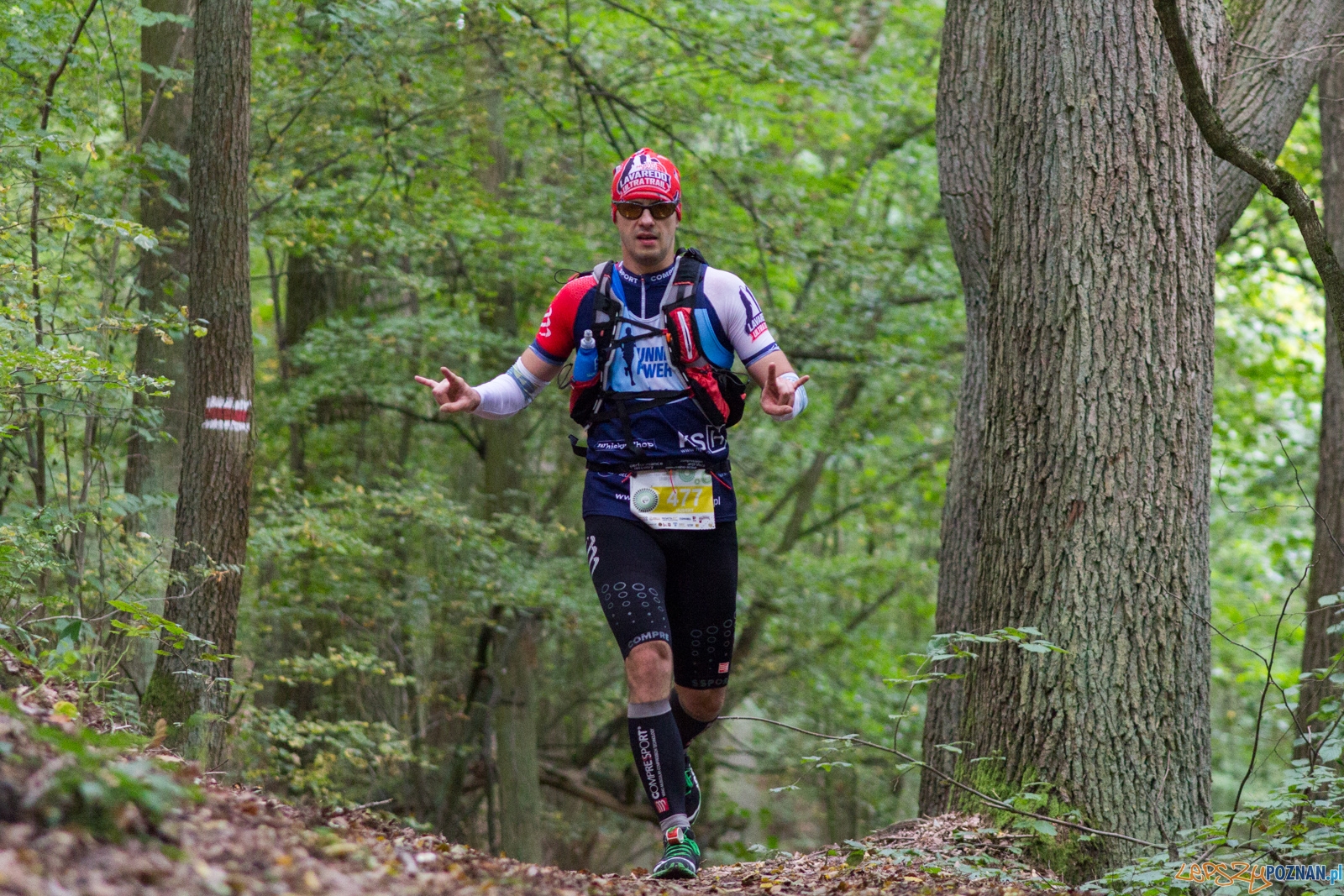 Forest Run Foto: lepszyPOZNAN.pl / Ewelina Jaskowiak Forest Run Foto: lepszyPOZNAN.pl / Ewelina Jaskowiak