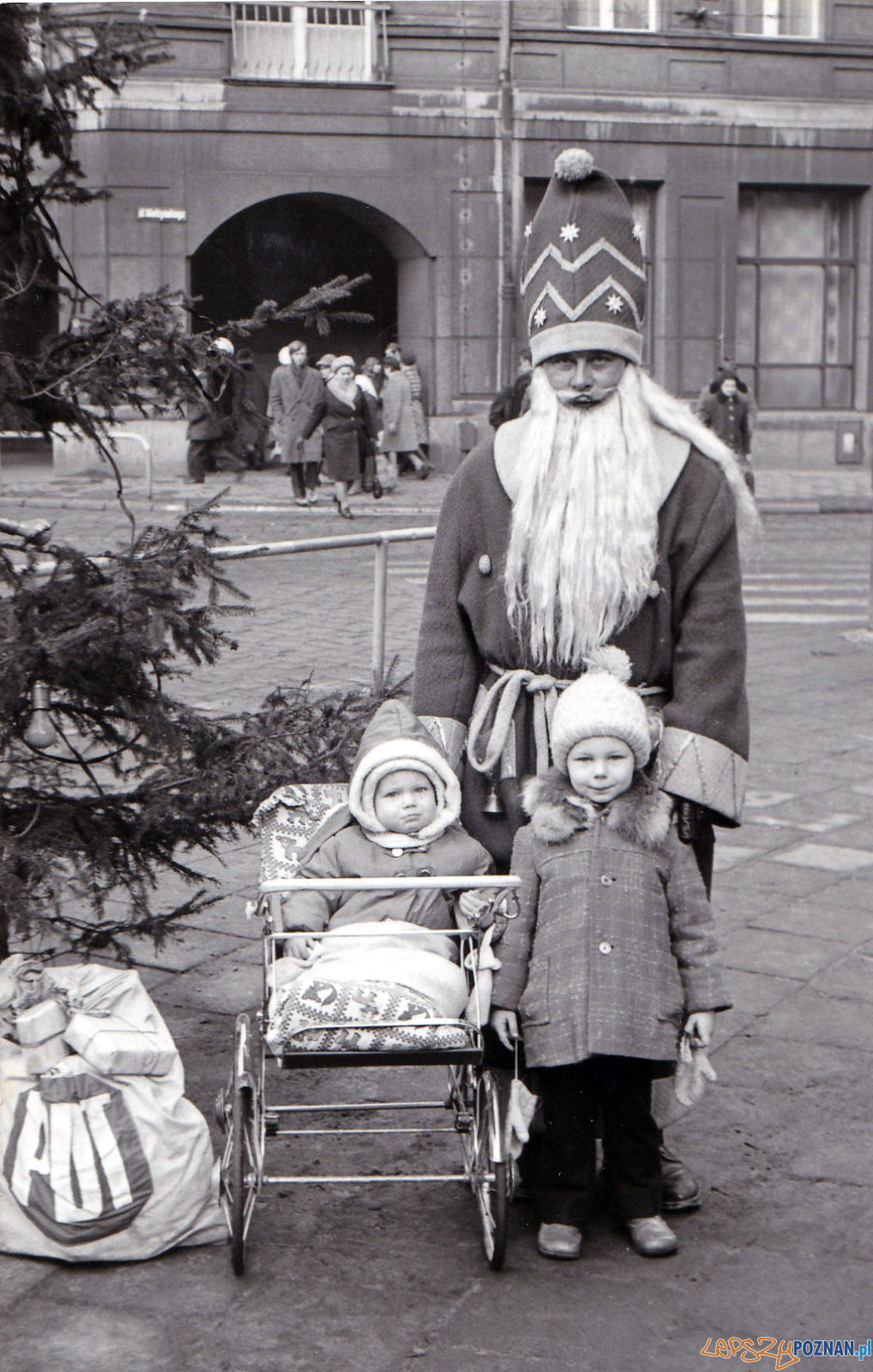 Gwiazdor Okrąglak 1973 rok Foto: Gwiazdor Okrąglak 1973 rok Foto:
