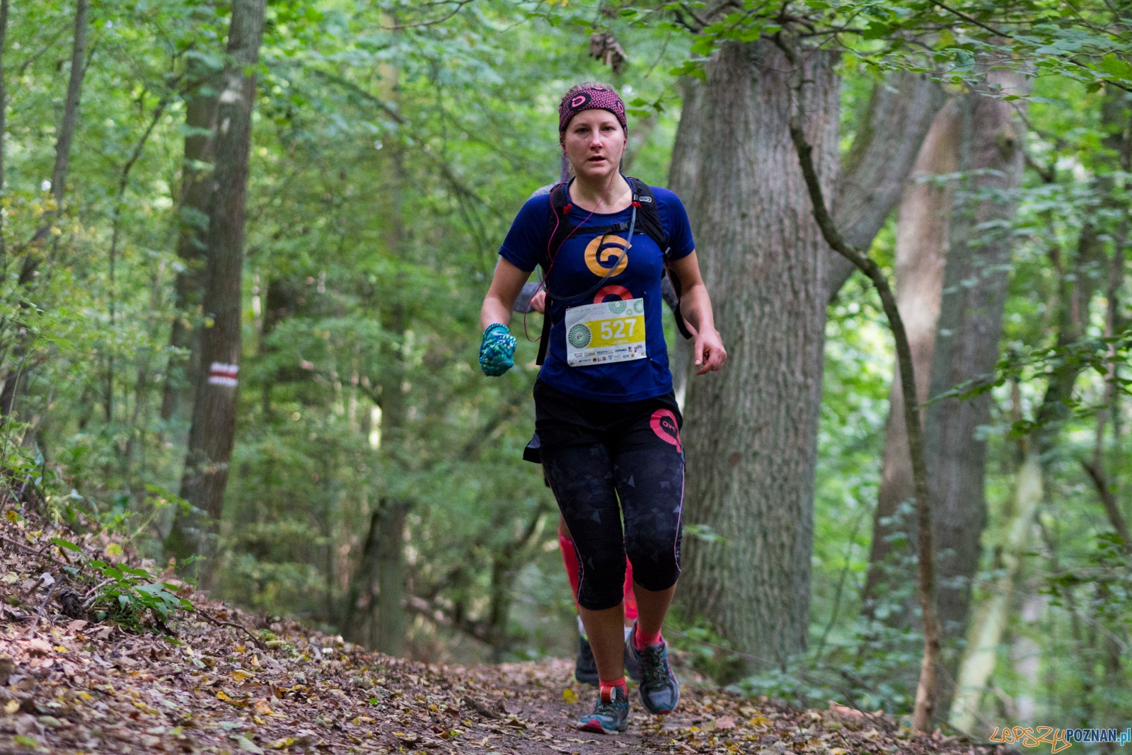 Forest Run Foto: lepszyPOZNAN.pl / Ewelina Jaskowiak Forest Run Foto: lepszyPOZNAN.pl / Ewelina Jaskowiak
