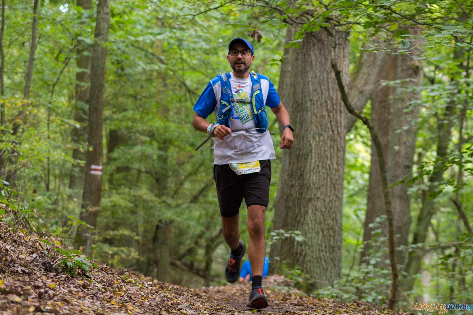 Forest Run Foto: lepszyPOZNAN.pl / Ewelina Jaskowiak Forest Run Foto: lepszyPOZNAN.pl / Ewelina Jaskowiak