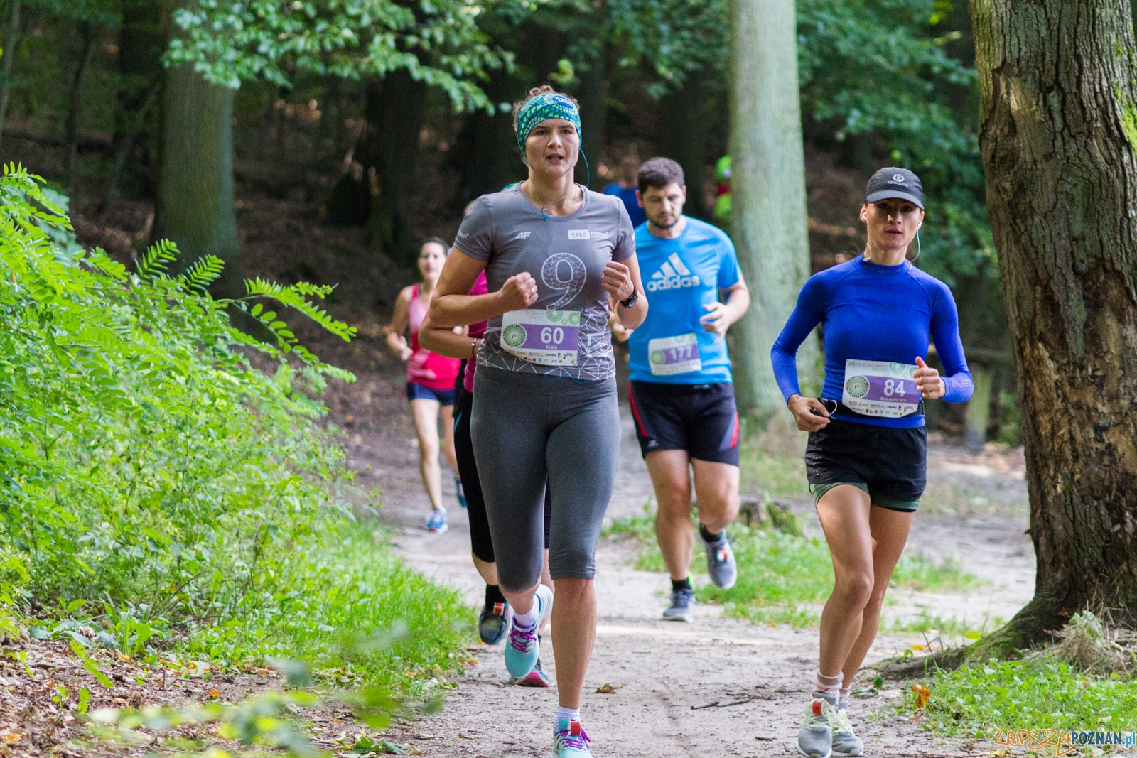 Forest Run Foto: lepszyPOZNAN.pl / Ewelina Jaskowiak Forest Run Foto: lepszyPOZNAN.pl / Ewelina Jaskowiak