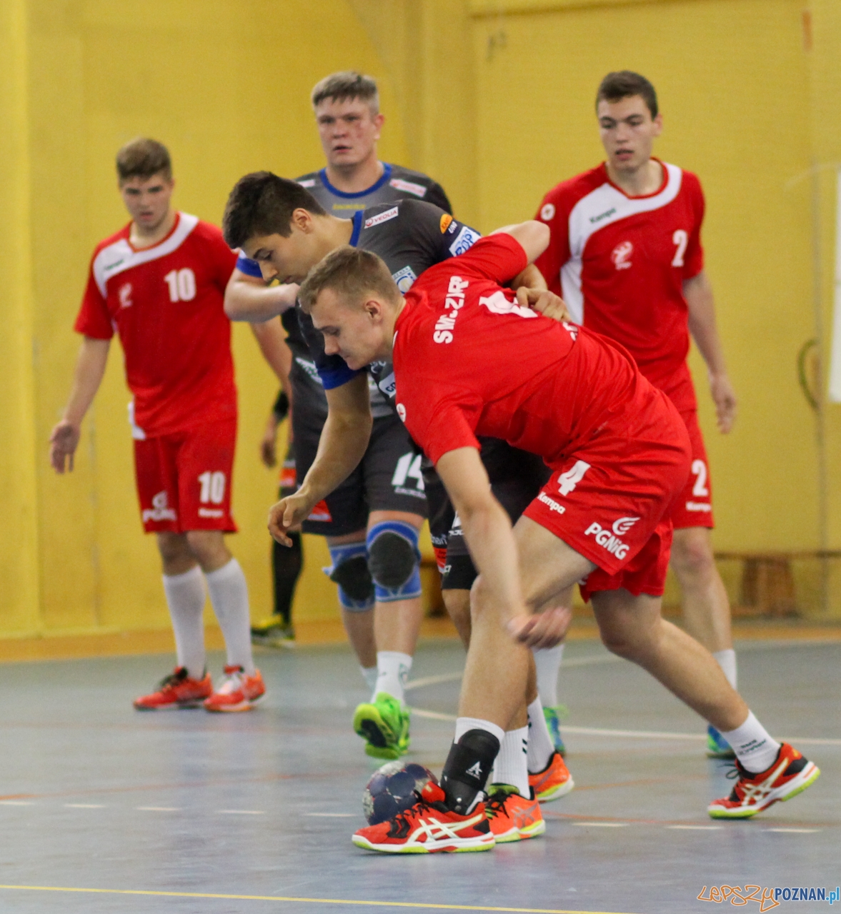 WKS Grunwald - SMS Gdańsk Foto: sportowy-poznan.pl / Elżbieta Skowron WKS Grunwald - SMS Gdańsk Foto: sportowy-poznan.pl / Elżbieta Skowron