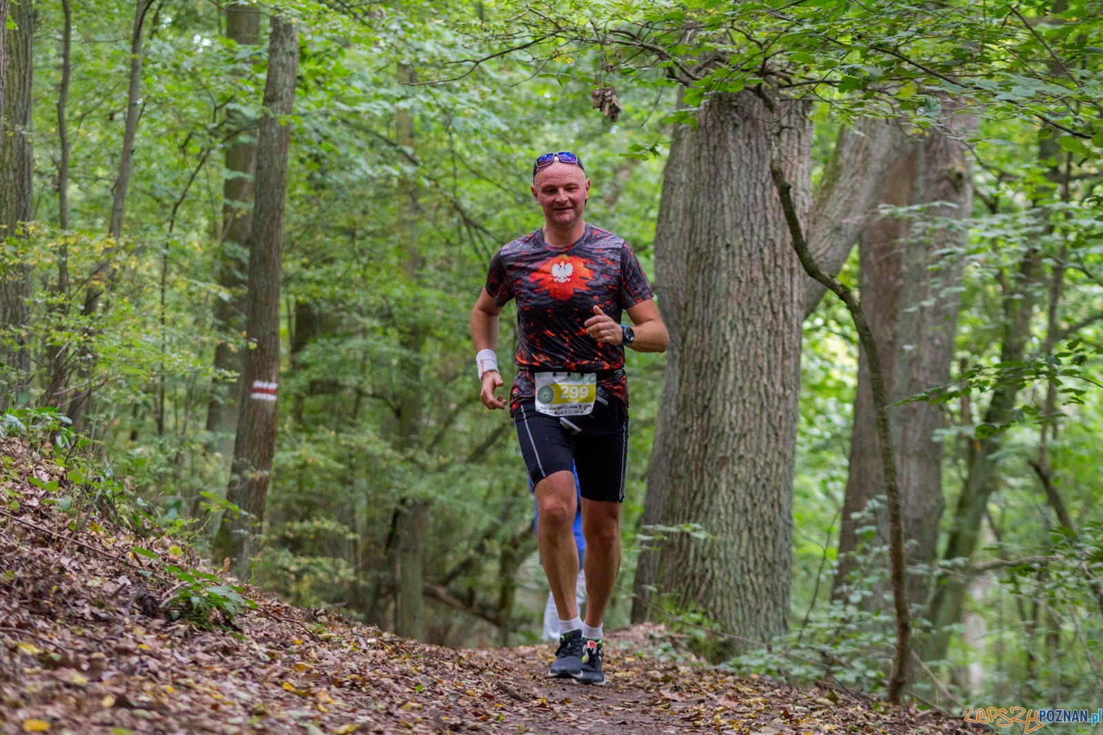 Forest Run Foto: lepszyPOZNAN.pl / Ewelina Jaskowiak Forest Run Foto: lepszyPOZNAN.pl / Ewelina Jaskowiak