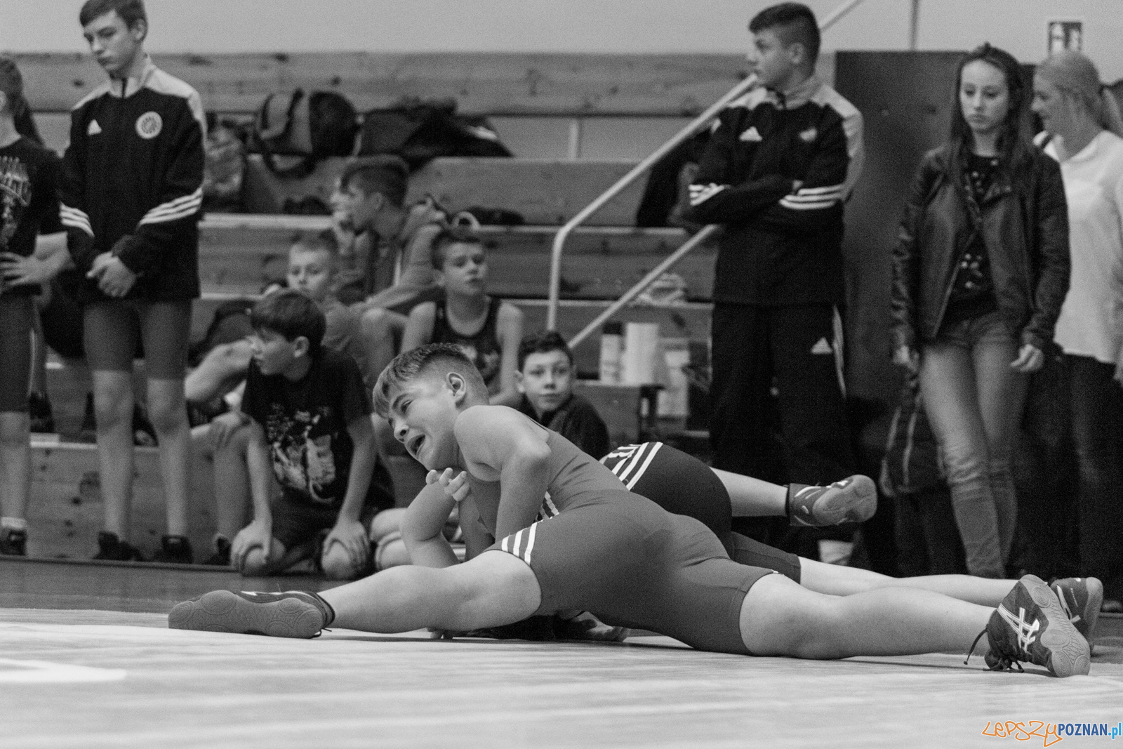 Międzywojewódzkie Mistrzostwa Młodzików Zapasy Styl Klasyczn Foto: lepszyPOZNAN.pl / Ewelina Jaskowiak Międzywojewódzkie Mistrzostwa Młodzików Zapasy Styl Klasyczn Foto: lepszyPOZNAN.pl / Ewelina Jaskowiak