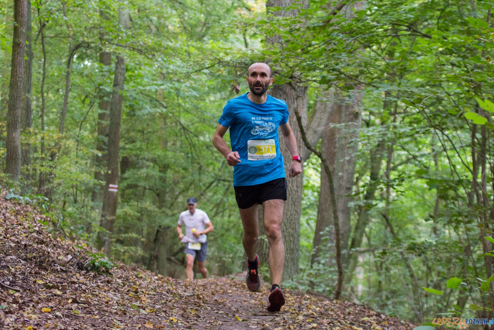 Forest Run Foto: lepszyPOZNAN.pl / Ewelina Jaskowiak Forest Run Foto: lepszyPOZNAN.pl / Ewelina Jaskowiak
