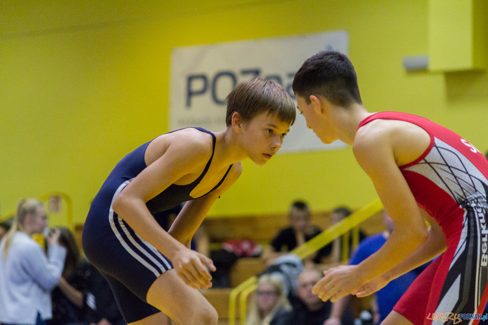 Międzywojewódzkie Mistrzostwa Młodzików Zapasy Styl Klasyczn Foto: lepszyPOZNAN.pl / Ewelina Jaskowiak Międzywojewódzkie Mistrzostwa Młodzików Zapasy Styl Klasyczn Foto: lepszyPOZNAN.pl / Ewelina Jaskowiak