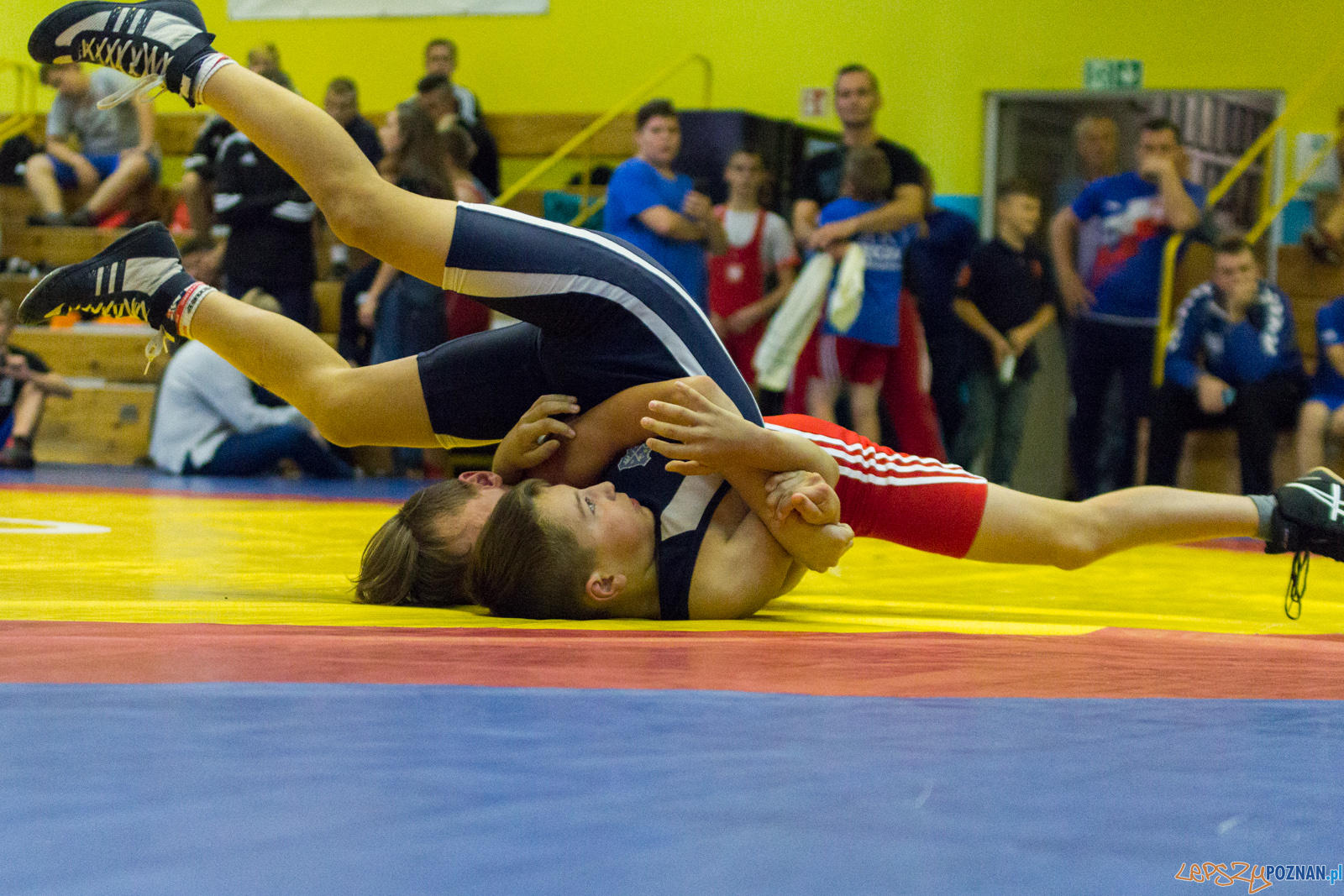 Międzywojewódzkie Mistrzostwa Młodzików Zapasy Styl Klasyczn Foto: lepszyPOZNAN.pl / Ewelina Jaskowiak Międzywojewódzkie Mistrzostwa Młodzików Zapasy Styl Klasyczn Foto: lepszyPOZNAN.pl / Ewelina Jaskowiak