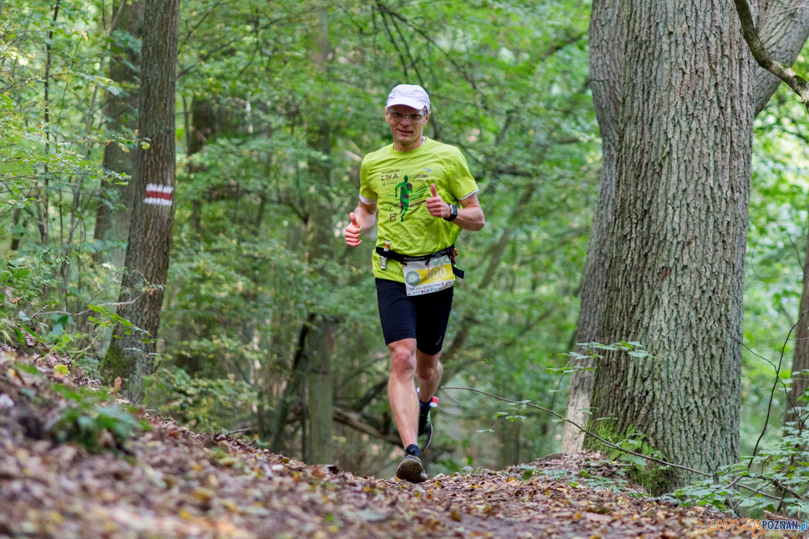 Forest Run Foto: lepszyPOZNAN.pl / Ewelina Jaskowiak Forest Run Foto: lepszyPOZNAN.pl / Ewelina Jaskowiak