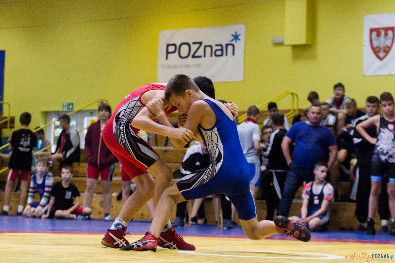 Międzywojewódzkie Mistrzostwa Młodzików Zapasy Styl Klasyczn Foto: lepszyPOZNAN.pl / Ewelina Jaskowiak Międzywojewódzkie Mistrzostwa Młodzików Zapasy Styl Klasyczn Foto: lepszyPOZNAN.pl / Ewelina Jaskowiak