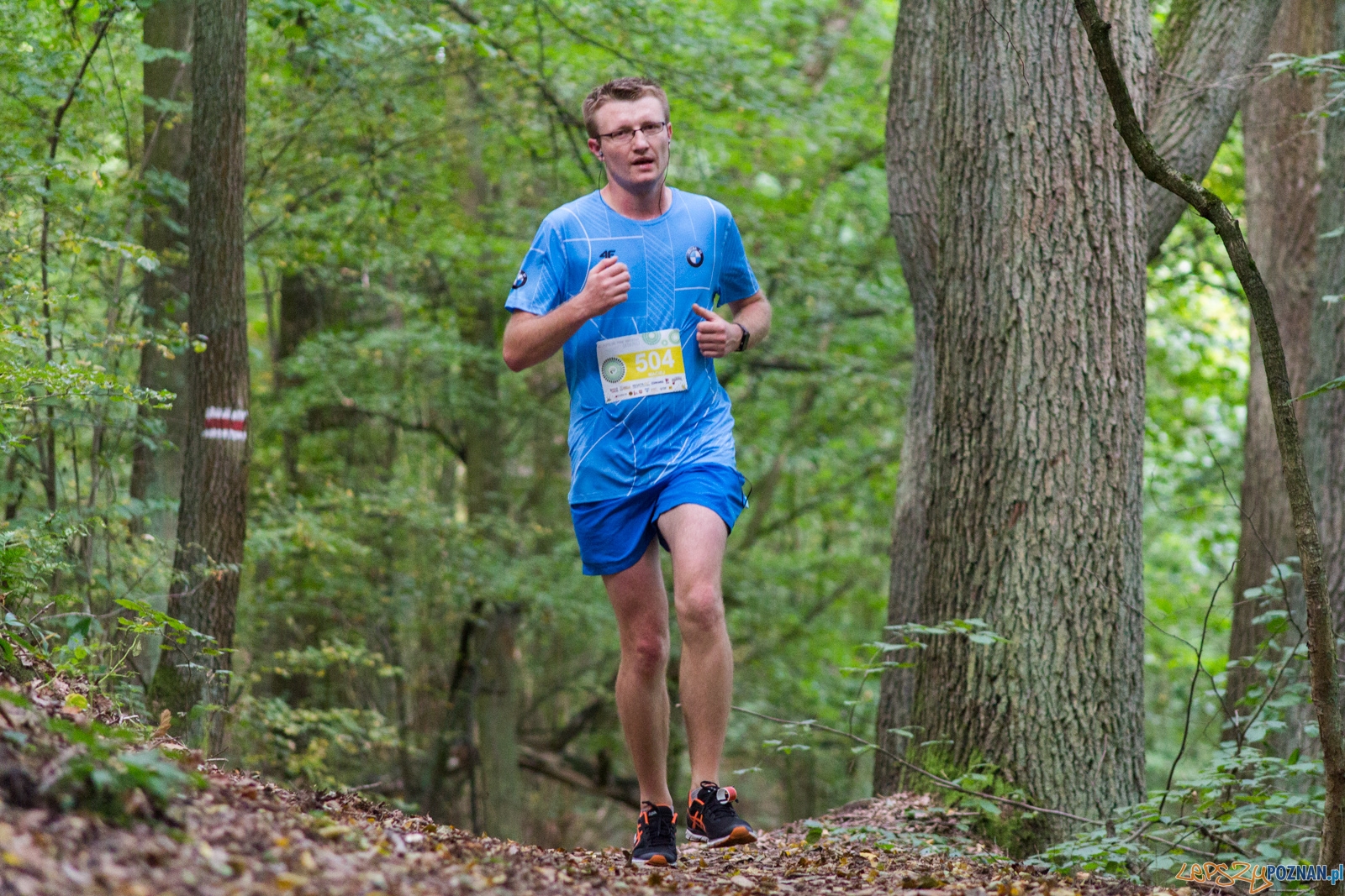 Forest Run Foto: lepszyPOZNAN.pl / Ewelina Jaskowiak Forest Run Foto: lepszyPOZNAN.pl / Ewelina Jaskowiak