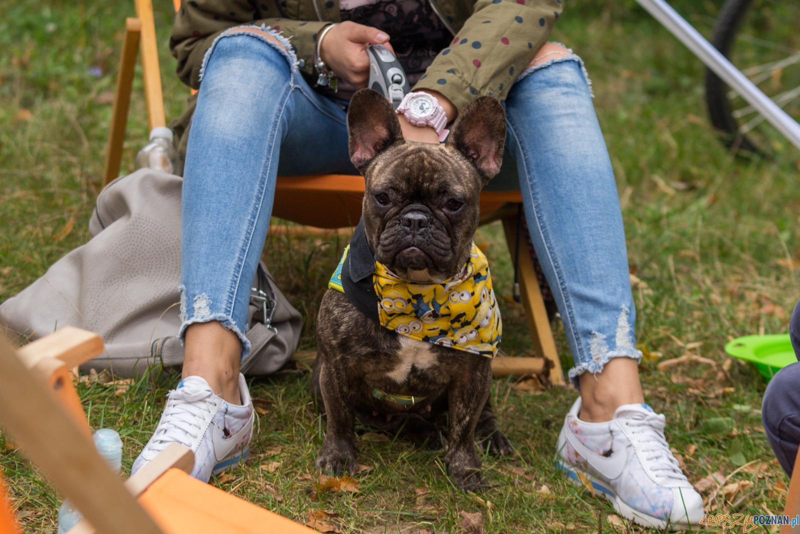 Forest Run Foto: lepszyPOZNAN.pl / Ewelina Jaskowiak Forest Run Foto: lepszyPOZNAN.pl / Ewelina Jaskowiak