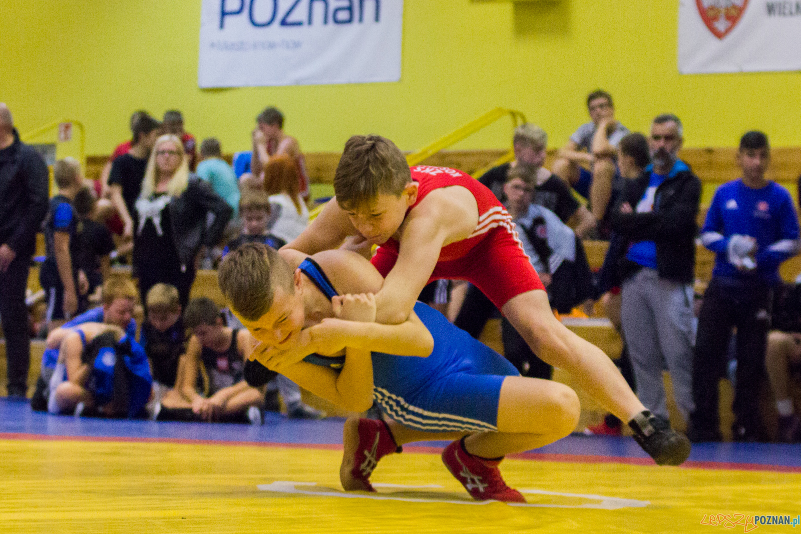 Międzywojewódzkie Mistrzostwa Młodzików Zapasy Styl Klasyczn Foto: lepszyPOZNAN.pl / Ewelina Jaskowiak Międzywojewódzkie Mistrzostwa Młodzików Zapasy Styl Klasyczn Foto: lepszyPOZNAN.pl / Ewelina Jaskowiak