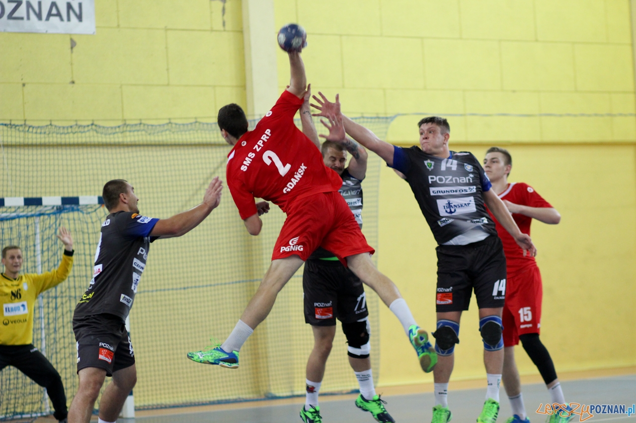 WKS Grunwald - SMS Gdańsk Foto: sportowy-poznan.pl / Elżbieta Skowron WKS Grunwald - SMS Gdańsk Foto: sportowy-poznan.pl / Elżbieta Skowron