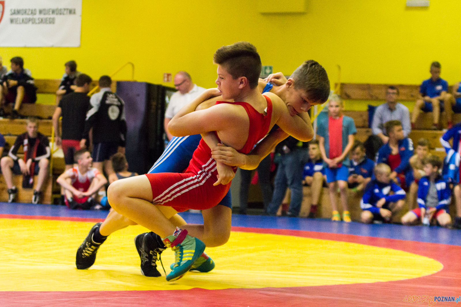 Międzywojewódzkie Mistrzostwa Młodzików Zapasy Styl Klasyczn Foto: lepszyPOZNAN.pl / Ewelina Jaskowiak Międzywojewódzkie Mistrzostwa Młodzików Zapasy Styl Klasyczn Foto: lepszyPOZNAN.pl / Ewelina Jaskowiak