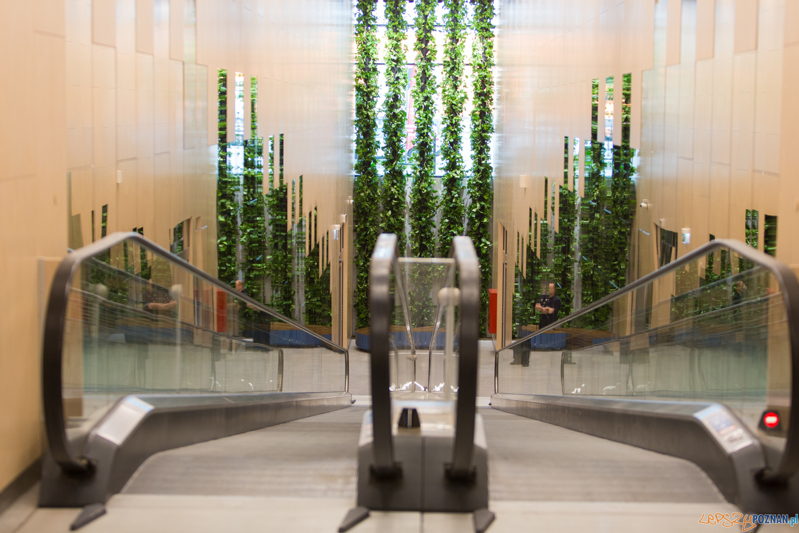 Nowe Centrum Franowo Foto: lepszyPOZNAN.pl/Piotr Rychter Nowe Centrum Franowo Foto: lepszyPOZNAN.pl/Piotr Rychter