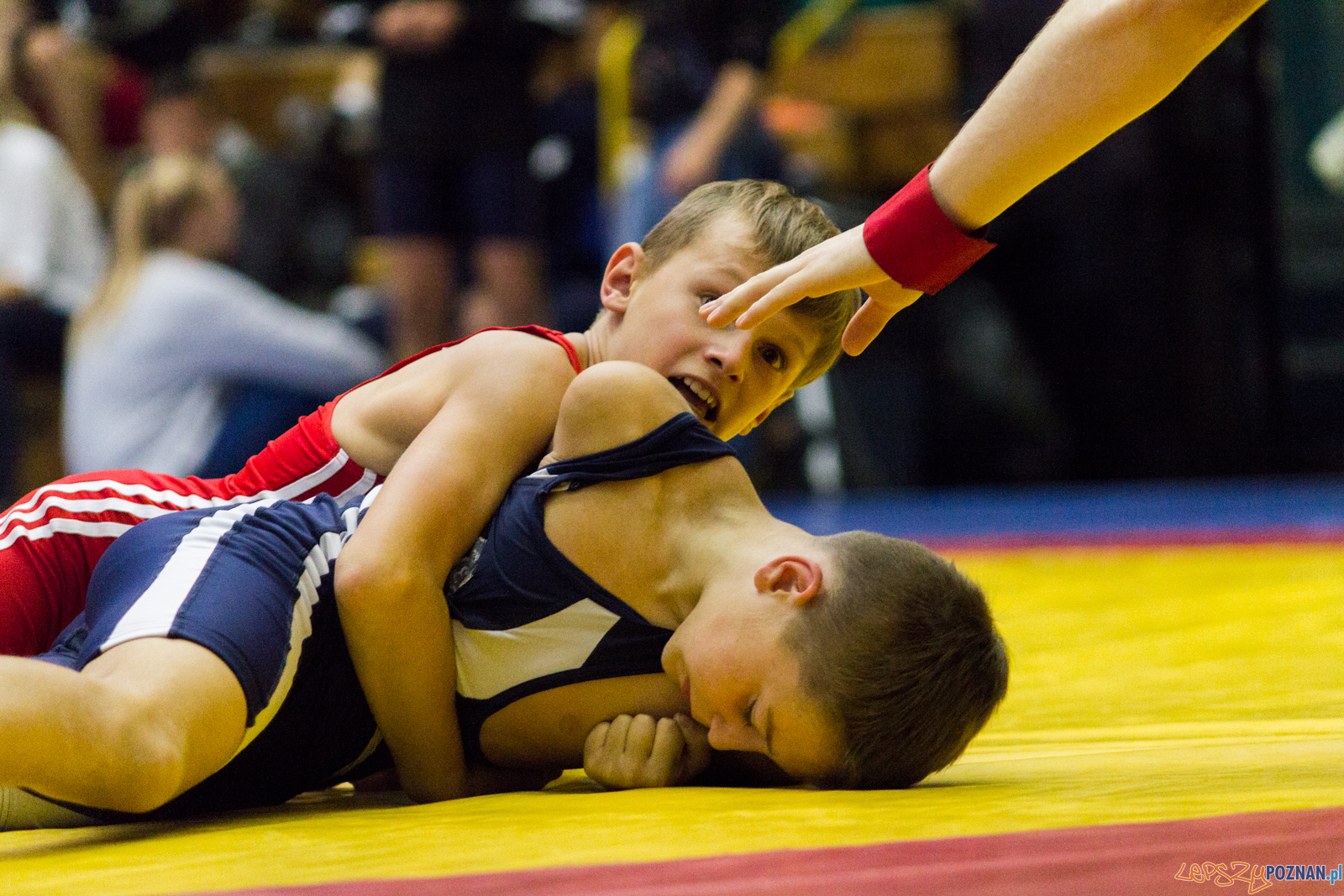 Międzywojewódzkie Mistrzostwa Młodzików Zapasy Styl Klasyczn Foto: lepszyPOZNAN.pl / Ewelina Jaskowiak Międzywojewódzkie Mistrzostwa Młodzików Zapasy Styl Klasyczn Foto: lepszyPOZNAN.pl / Ewelina Jaskowiak