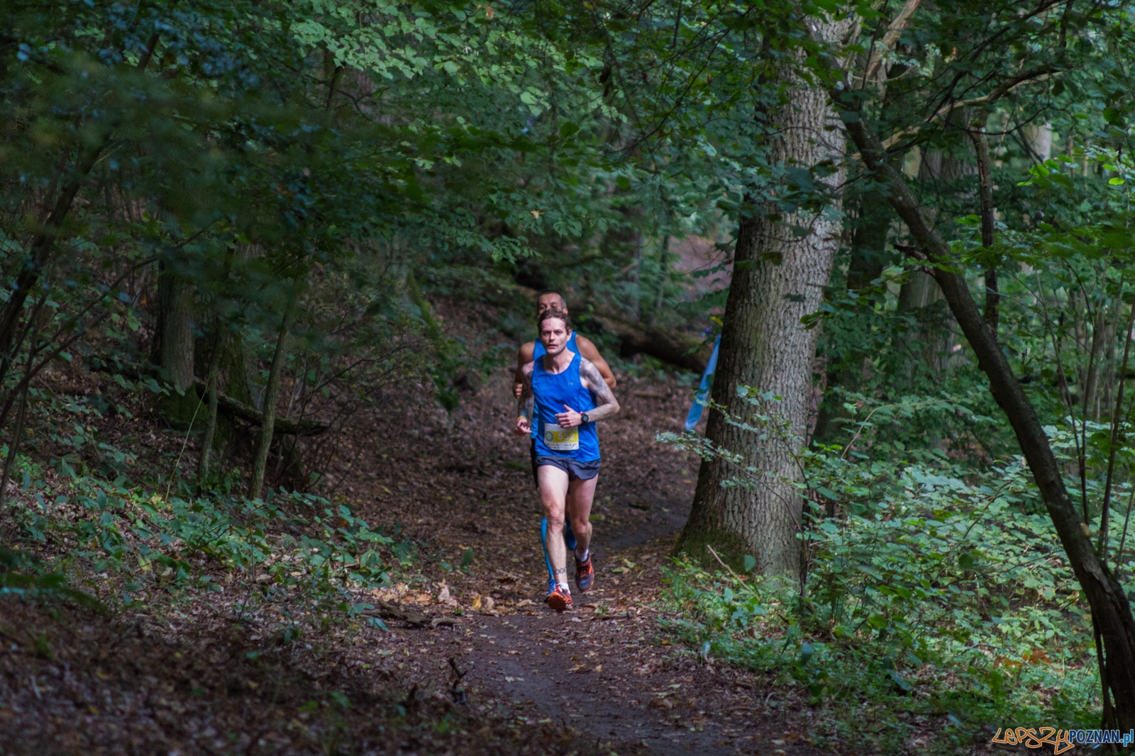 Forest Run Foto: lepszyPOZNAN.pl / Ewelina Jaskowiak Forest Run Foto: lepszyPOZNAN.pl / Ewelina Jaskowiak