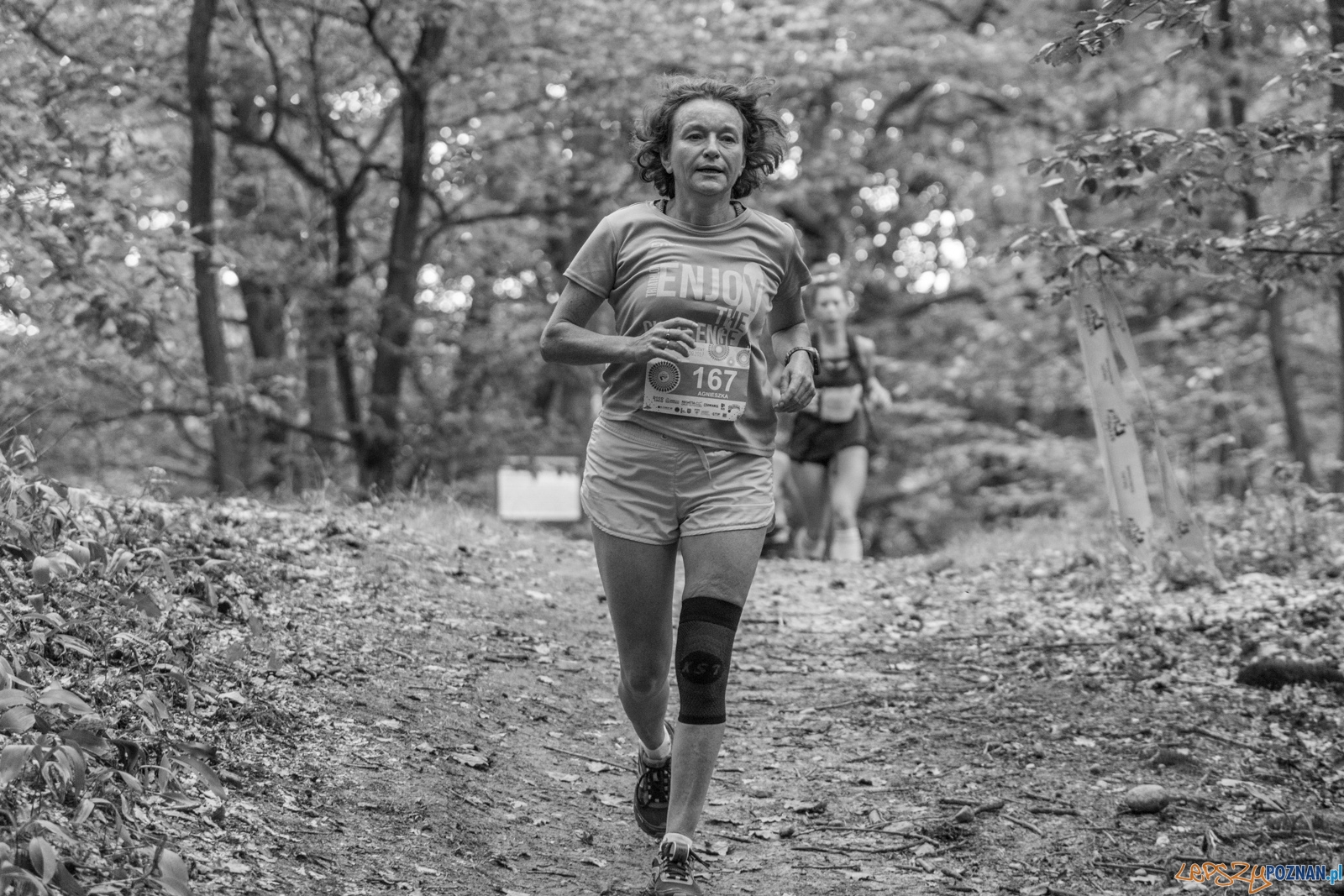 Forest Run Foto: lepszyPOZNAN.pl / Ewelina Jaskowiak Forest Run Foto: lepszyPOZNAN.pl / Ewelina Jaskowiak