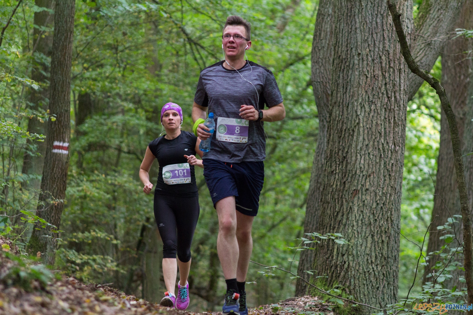 Forest Run Foto: lepszyPOZNAN.pl / Ewelina Jaskowiak Forest Run Foto: lepszyPOZNAN.pl / Ewelina Jaskowiak