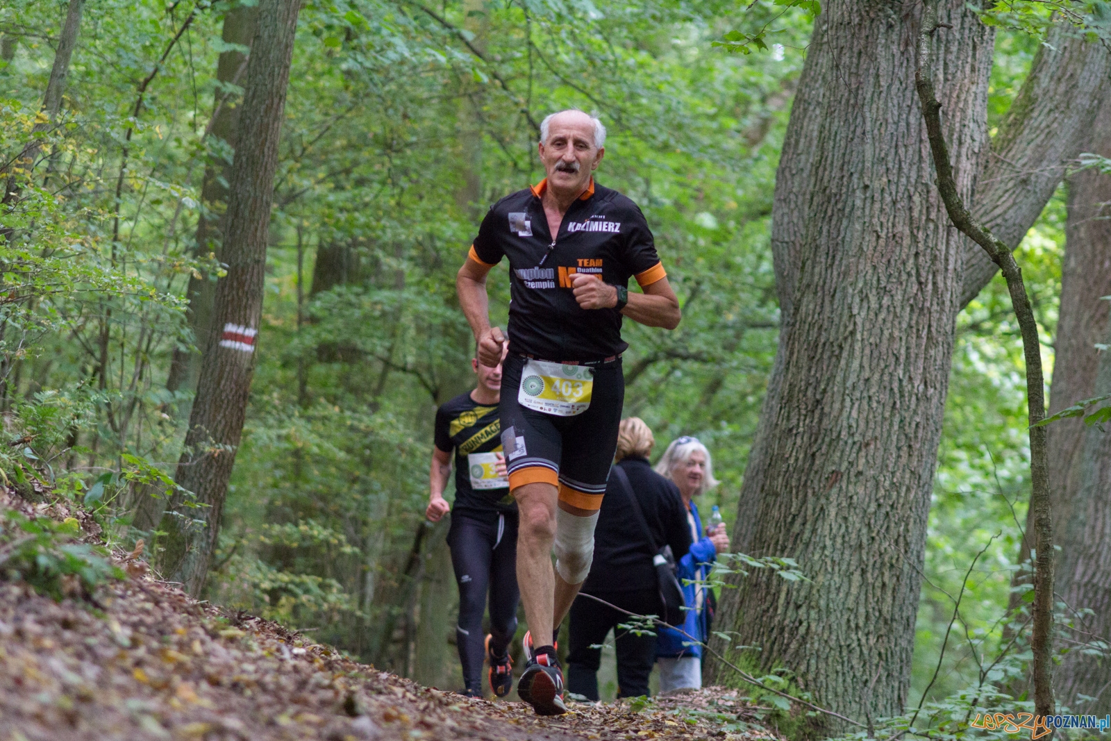 Forest Run Foto: lepszyPOZNAN.pl / Ewelina Jaskowiak Forest Run Foto: lepszyPOZNAN.pl / Ewelina Jaskowiak