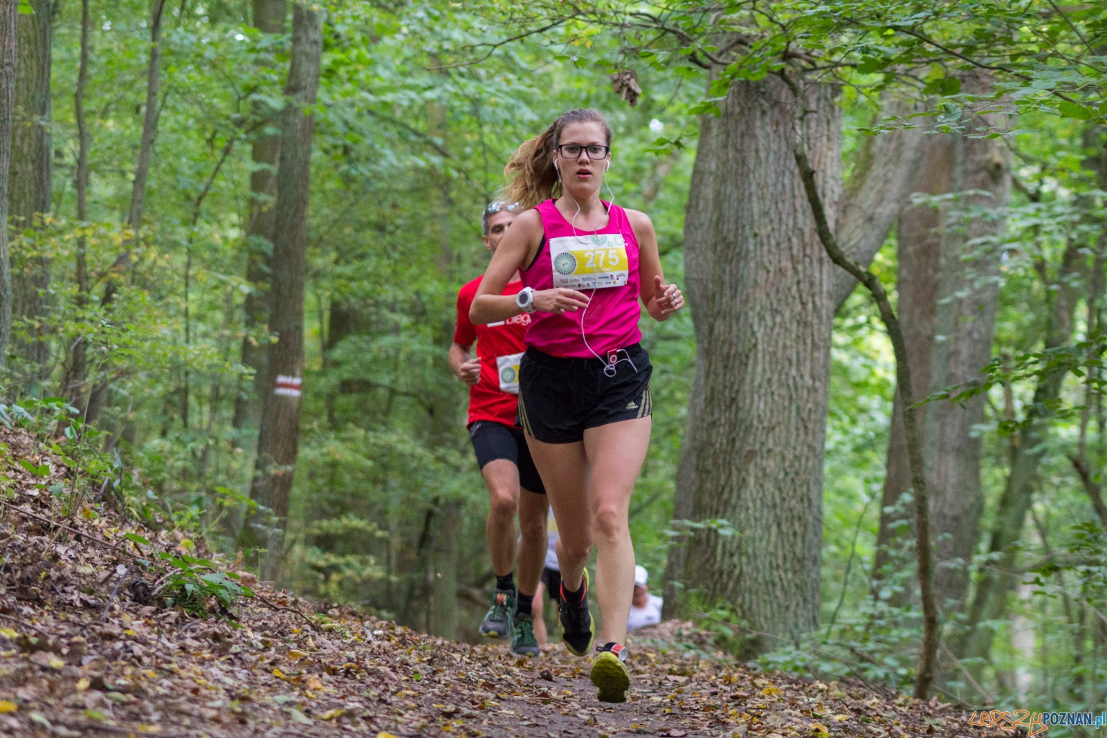 Forest Run Foto: lepszyPOZNAN.pl / Ewelina Jaskowiak Forest Run Foto: lepszyPOZNAN.pl / Ewelina Jaskowiak