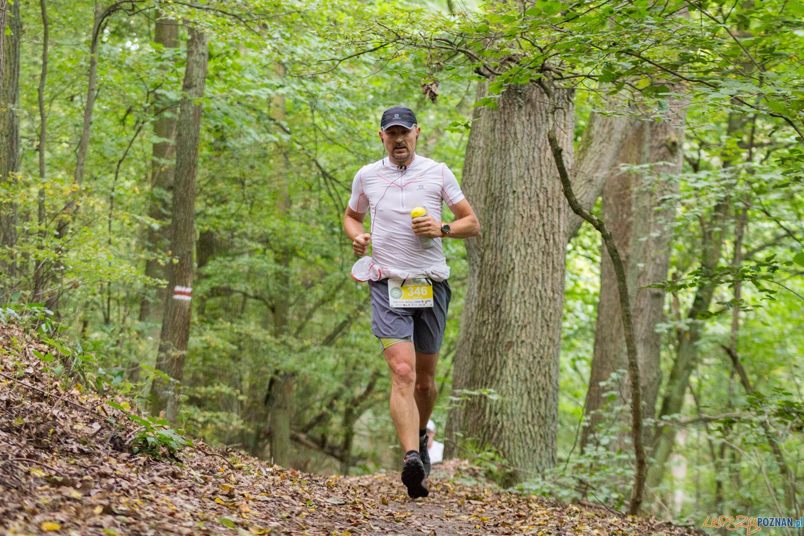 Forest Run Foto: lepszyPOZNAN.pl / Ewelina Jaskowiak Forest Run Foto: lepszyPOZNAN.pl / Ewelina Jaskowiak