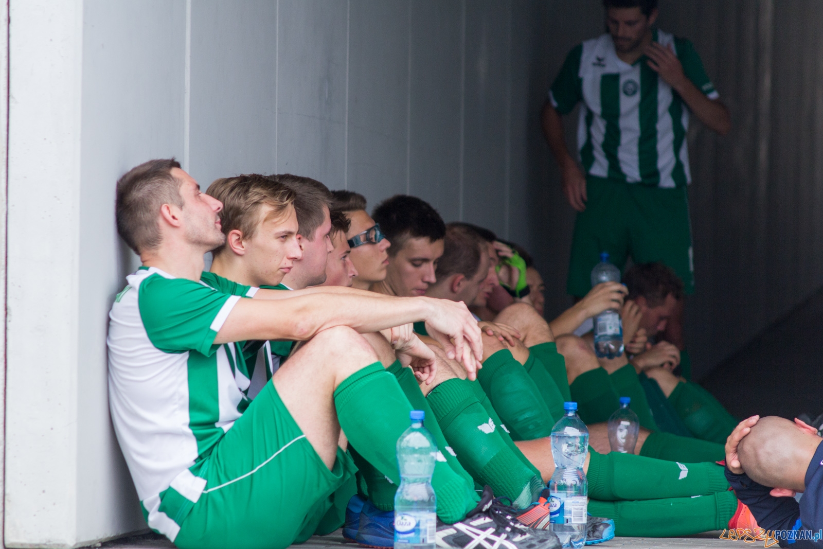 KS Warta Poznań - LKS Rogowo Foto: lepszyPOZNAN.pl / Ewelina Jaskowiak KS Warta Poznań - LKS Rogowo Foto: lepszyPOZNAN.pl / Ewelina Jaskowiak