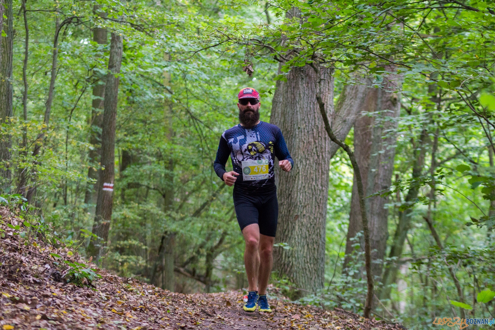 Forest Run Foto: lepszyPOZNAN.pl / Ewelina Jaskowiak Forest Run Foto: lepszyPOZNAN.pl / Ewelina Jaskowiak