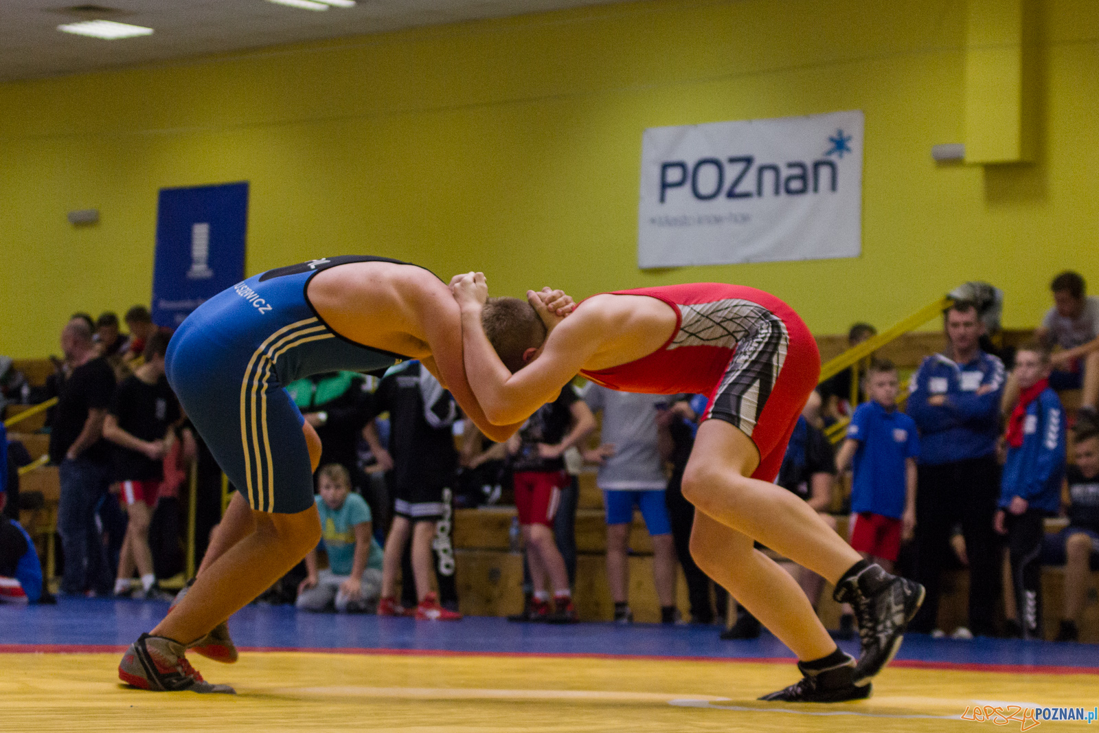 Międzywojewódzkie Mistrzostwa Młodzików Zapasy Styl Klasyczn Foto: lepszyPOZNAN.pl / Ewelina Jaskowiak Międzywojewódzkie Mistrzostwa Młodzików Zapasy Styl Klasyczn Foto: lepszyPOZNAN.pl / Ewelina Jaskowiak