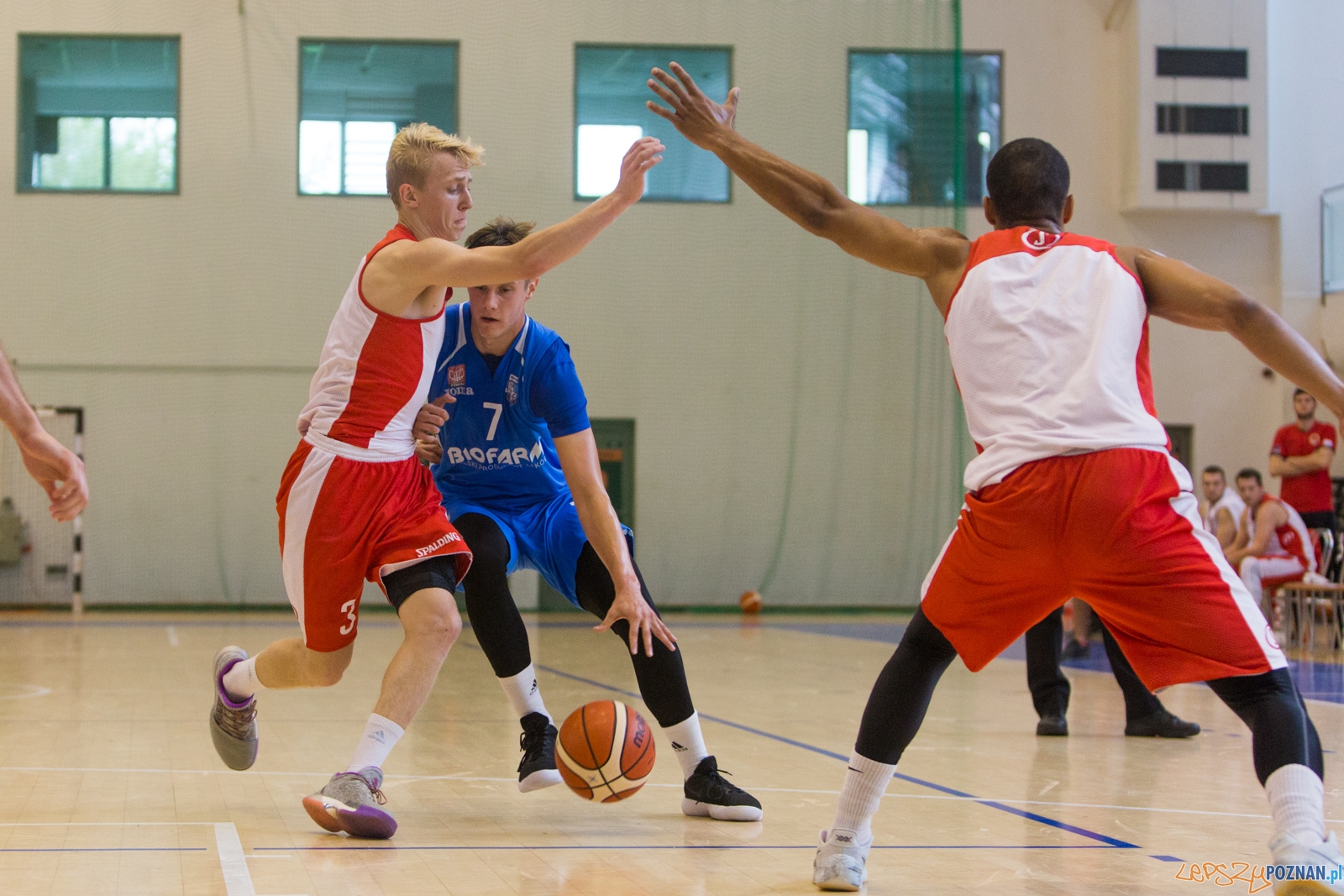 Turniej koszykówki organizowany przez Fundację PBG Basket Juni Foto: lepszyPOZNAN.pl/Piotr Rychter Turniej koszykówki organizowany przez Fundację PBG Basket Juni Foto: lepszyPOZNAN.pl/Piotr Rychter
