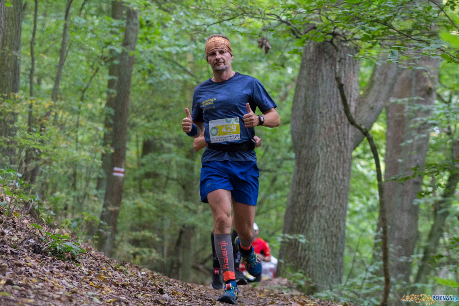 Forest Run Foto: lepszyPOZNAN.pl / Ewelina Jaskowiak Forest Run Foto: lepszyPOZNAN.pl / Ewelina Jaskowiak