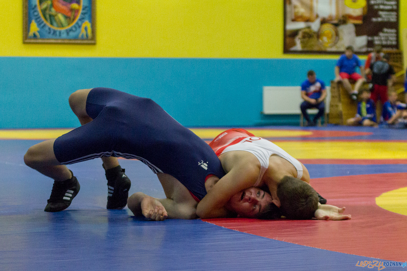 Międzywojewódzkie Mistrzostwa Młodzików Zapasy Styl Klasyczn Foto: lepszyPOZNAN.pl / Ewelina Jaskowiak Międzywojewódzkie Mistrzostwa Młodzików Zapasy Styl Klasyczn Foto: lepszyPOZNAN.pl / Ewelina Jaskowiak