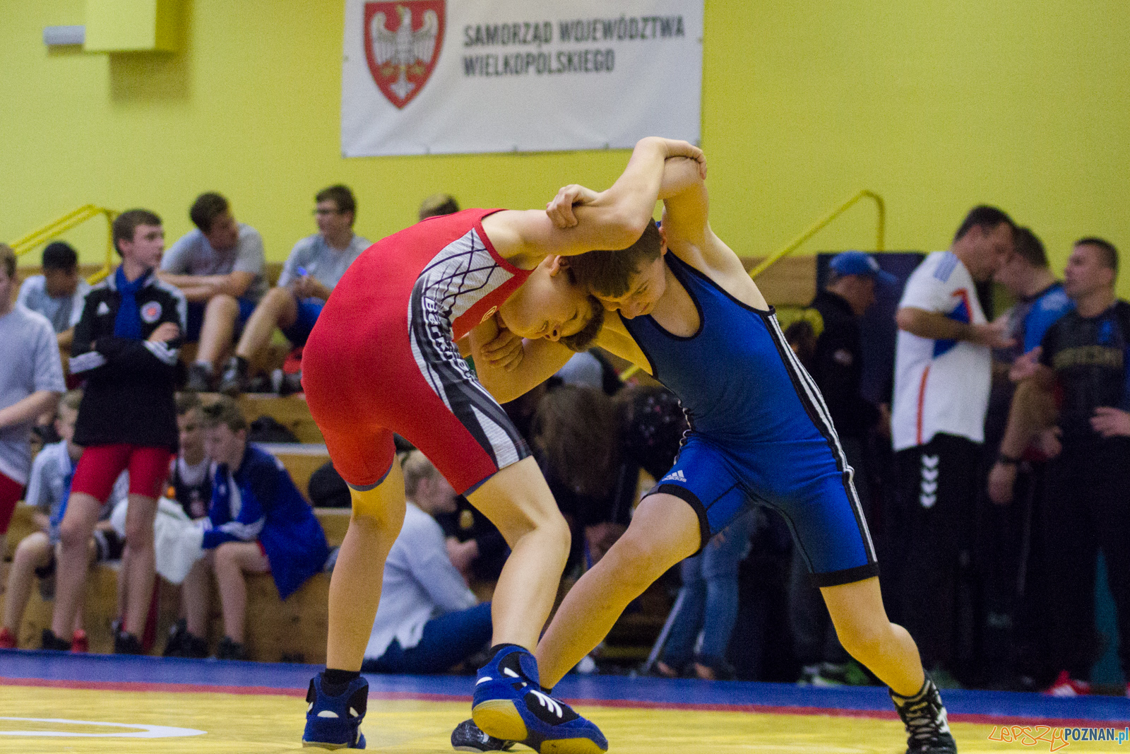 Międzywojewódzkie Mistrzostwa Młodzików Zapasy Styl Klasyczn Foto: lepszyPOZNAN.pl / Ewelina Jaskowiak Międzywojewódzkie Mistrzostwa Młodzików Zapasy Styl Klasyczn Foto: lepszyPOZNAN.pl / Ewelina Jaskowiak