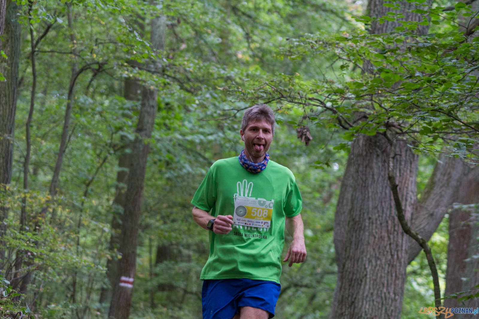 Forest Run Foto: lepszyPOZNAN.pl / Ewelina Jaskowiak Forest Run Foto: lepszyPOZNAN.pl / Ewelina Jaskowiak