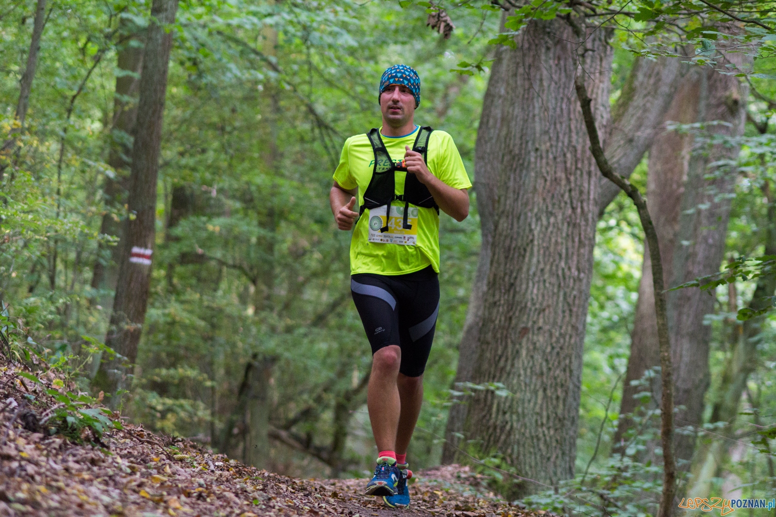 Forest Run Foto: lepszyPOZNAN.pl / Ewelina Jaskowiak Forest Run Foto: lepszyPOZNAN.pl / Ewelina Jaskowiak