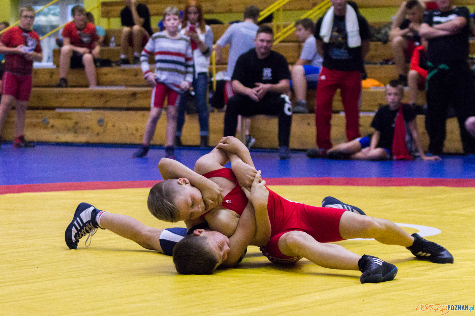 Międzywojewódzkie Mistrzostwa Młodzików Zapasy Styl Klasyczn Foto: lepszyPOZNAN.pl / Ewelina Jaskowiak Międzywojewódzkie Mistrzostwa Młodzików Zapasy Styl Klasyczn Foto: lepszyPOZNAN.pl / Ewelina Jaskowiak