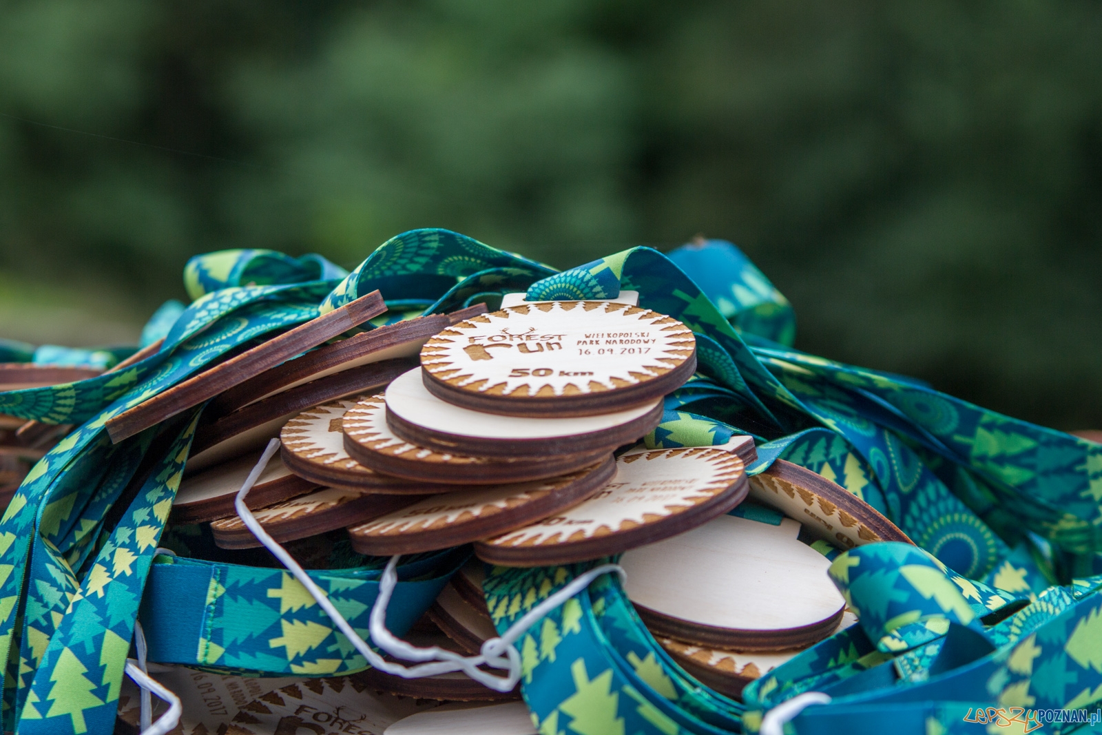 Forest Run Foto: lepszyPOZNAN.pl / Ewelina Jaskowiak Forest Run Foto: lepszyPOZNAN.pl / Ewelina Jaskowiak