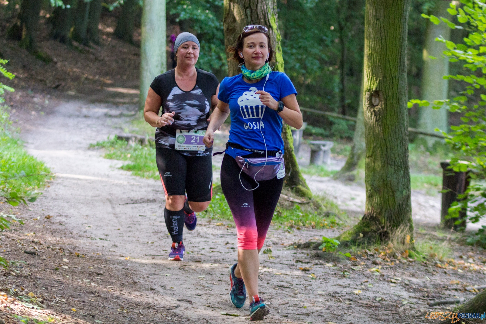 Forest Run Foto: lepszyPOZNAN.pl / Ewelina Jaskowiak Forest Run Foto: lepszyPOZNAN.pl / Ewelina Jaskowiak