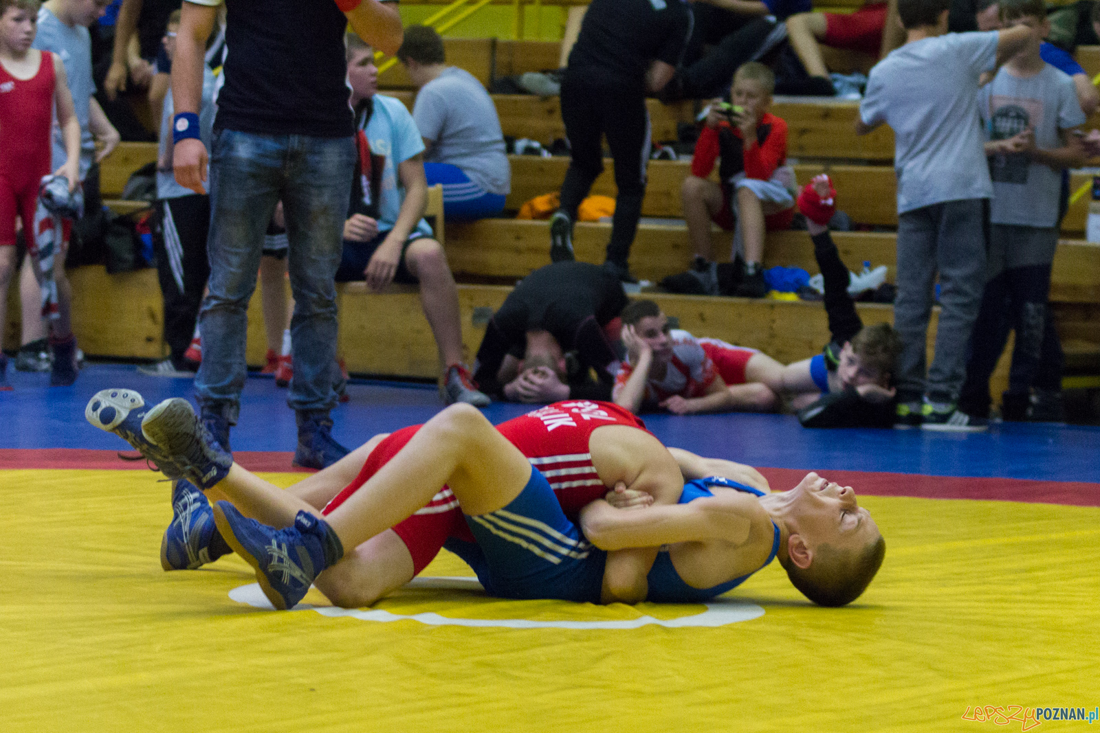 Międzywojewódzkie Mistrzostwa Młodzików Zapasy Styl Klasyczn Foto: lepszyPOZNAN.pl / Ewelina Jaskowiak Międzywojewódzkie Mistrzostwa Młodzików Zapasy Styl Klasyczn Foto: lepszyPOZNAN.pl / Ewelina Jaskowiak
