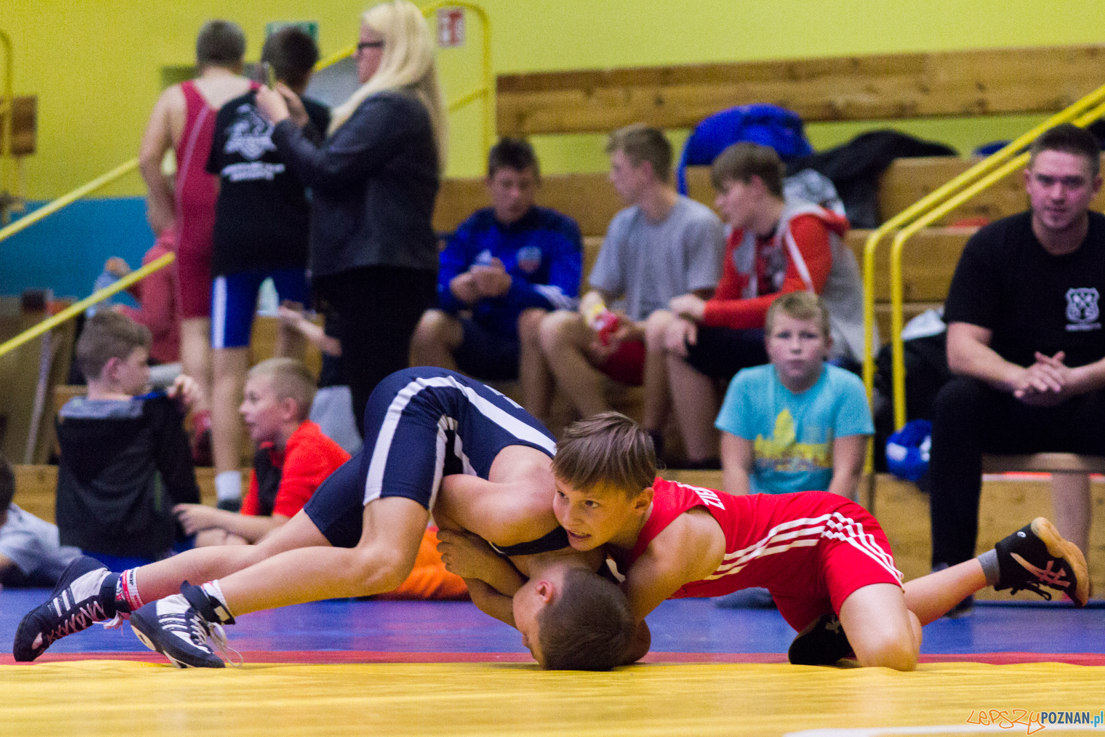 Międzywojewódzkie Mistrzostwa Młodzików Zapasy Styl Klasyczn Foto: lepszyPOZNAN.pl / Ewelina Jaskowiak Międzywojewódzkie Mistrzostwa Młodzików Zapasy Styl Klasyczn Foto: lepszyPOZNAN.pl / Ewelina Jaskowiak