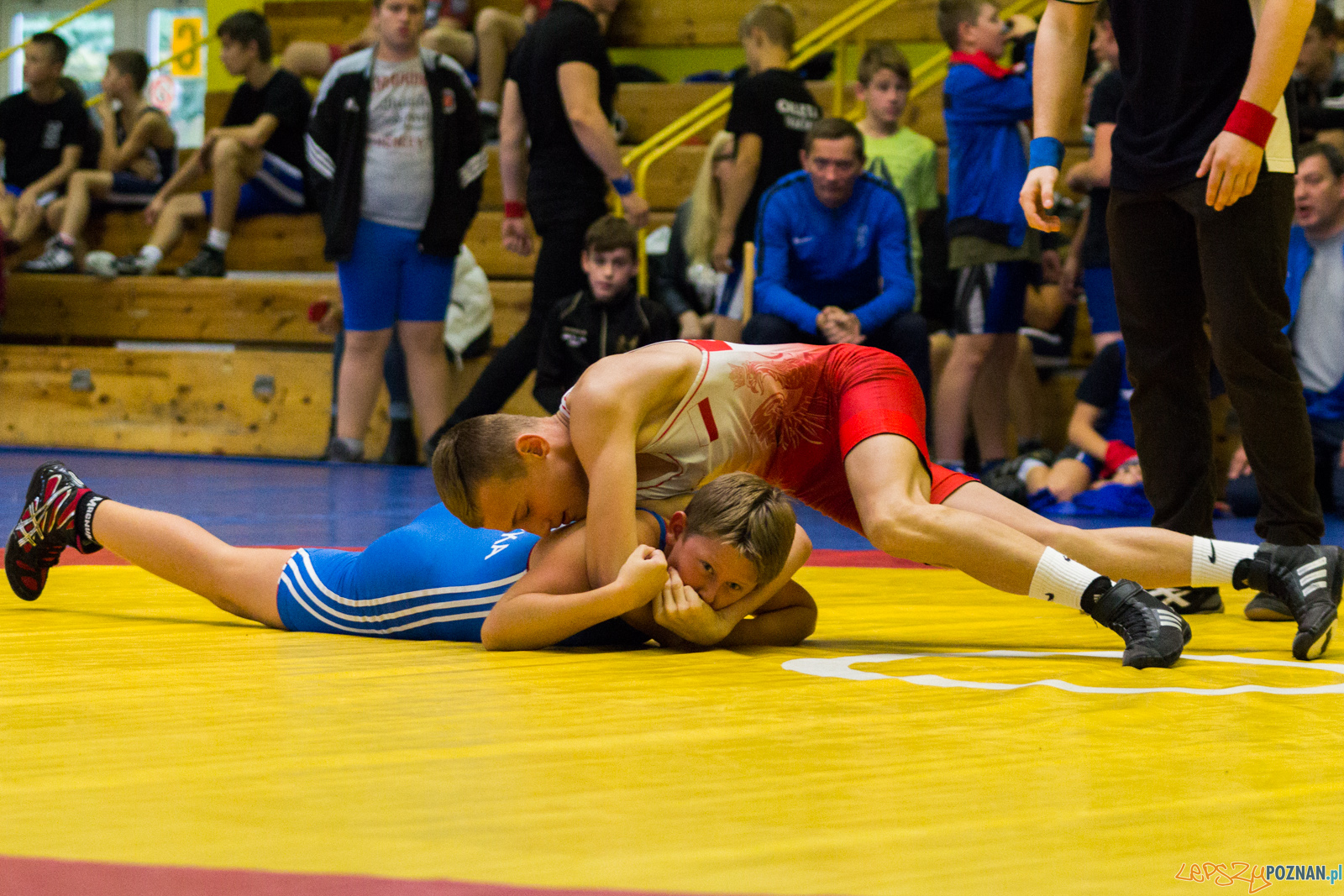 Międzywojewódzkie Mistrzostwa Młodzików Zapasy Styl Klasyczn Foto: lepszyPOZNAN.pl / Ewelina Jaskowiak Międzywojewódzkie Mistrzostwa Młodzików Zapasy Styl Klasyczn Foto: lepszyPOZNAN.pl / Ewelina Jaskowiak