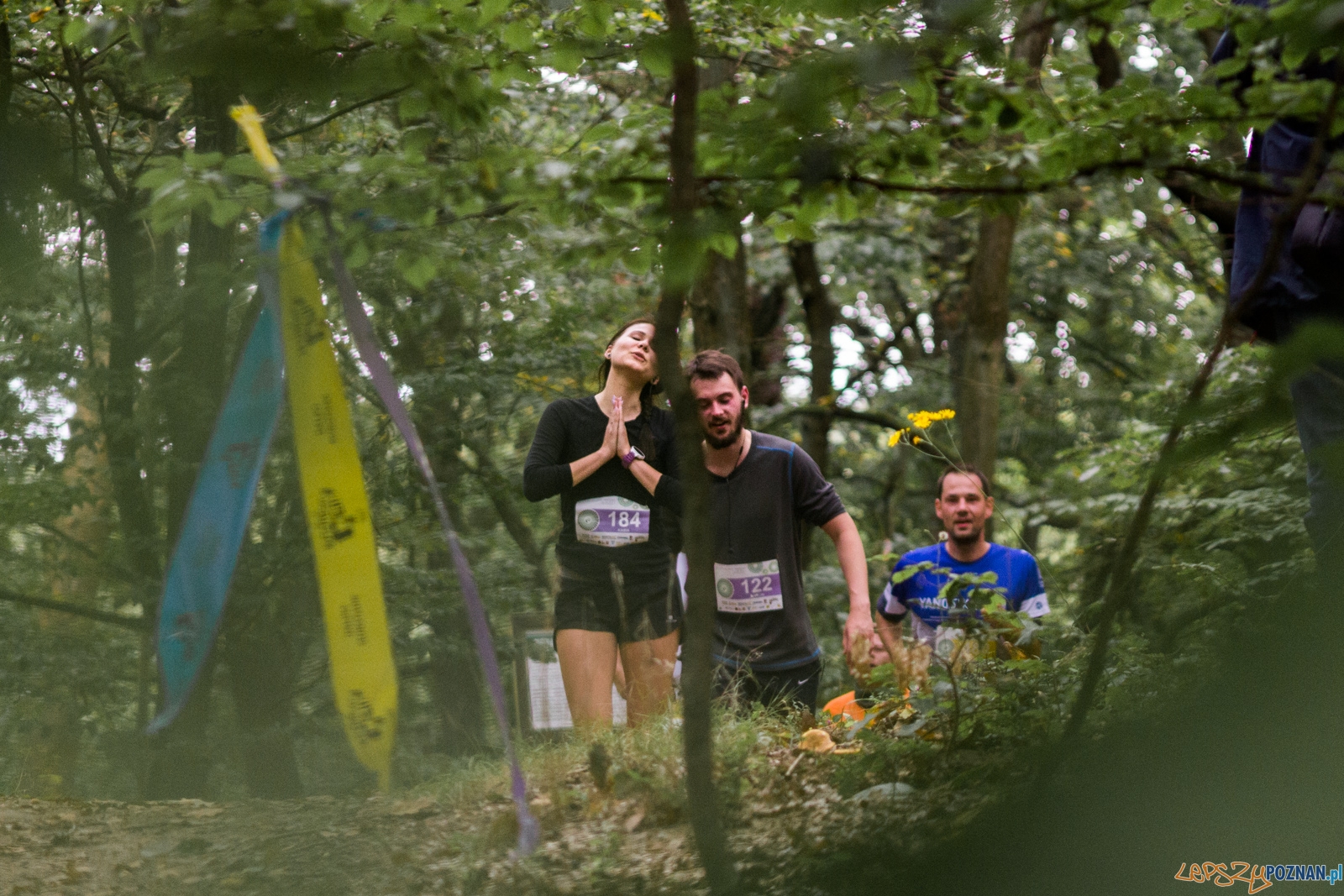 Forest Run Foto: lepszyPOZNAN.pl / Ewelina Jaskowiak Forest Run Foto: lepszyPOZNAN.pl / Ewelina Jaskowiak