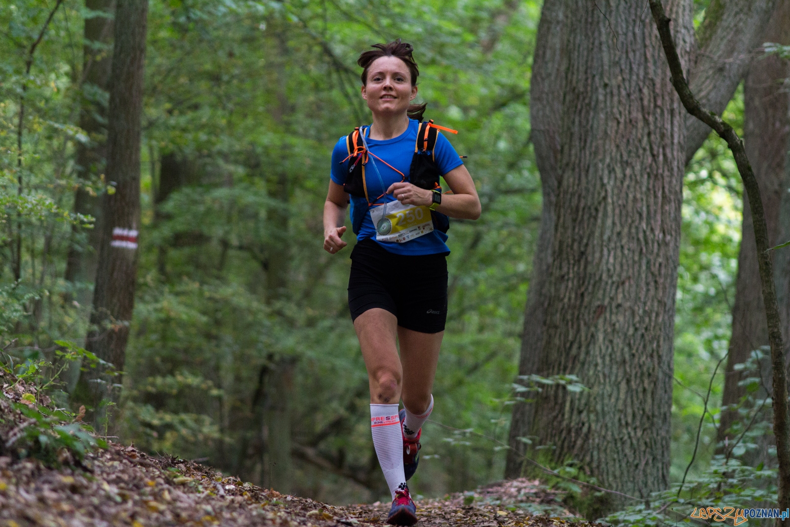 Forest Run Foto: lepszyPOZNAN.pl / Ewelina Jaskowiak Forest Run Foto: lepszyPOZNAN.pl / Ewelina Jaskowiak