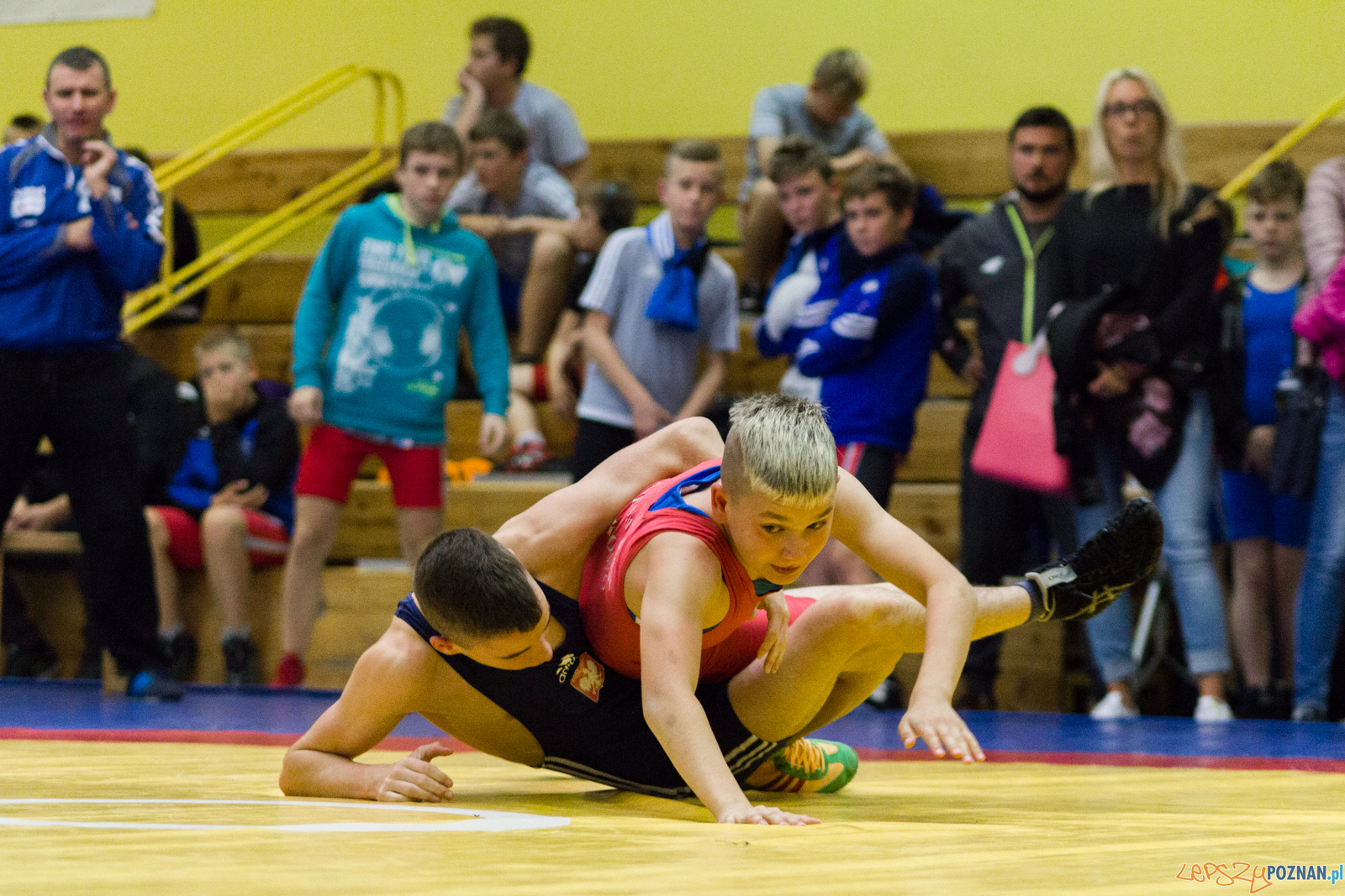 Międzywojewódzkie Mistrzostwa Młodzików Zapasy Styl Klasyczn Foto: lepszyPOZNAN.pl / Ewelina Jaskowiak Międzywojewódzkie Mistrzostwa Młodzików Zapasy Styl Klasyczn Foto: lepszyPOZNAN.pl / Ewelina Jaskowiak