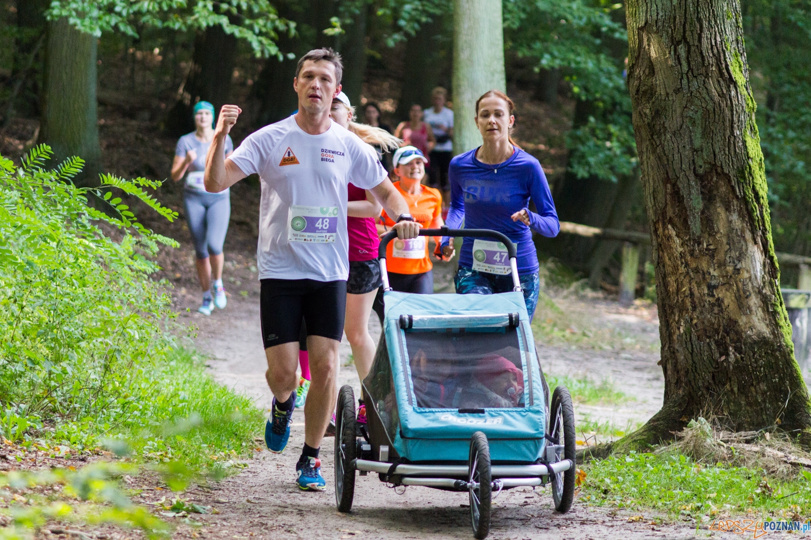 Forest Run Foto: lepszyPOZNAN.pl / Ewelina Jaskowiak Forest Run Foto: lepszyPOZNAN.pl / Ewelina Jaskowiak