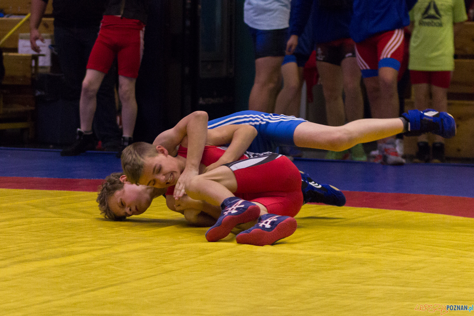 Międzywojewódzkie Mistrzostwa Młodzików Zapasy Styl Klasyczn Foto: lepszyPOZNAN.pl / Ewelina Jaskowiak Międzywojewódzkie Mistrzostwa Młodzików Zapasy Styl Klasyczn Foto: lepszyPOZNAN.pl / Ewelina Jaskowiak
