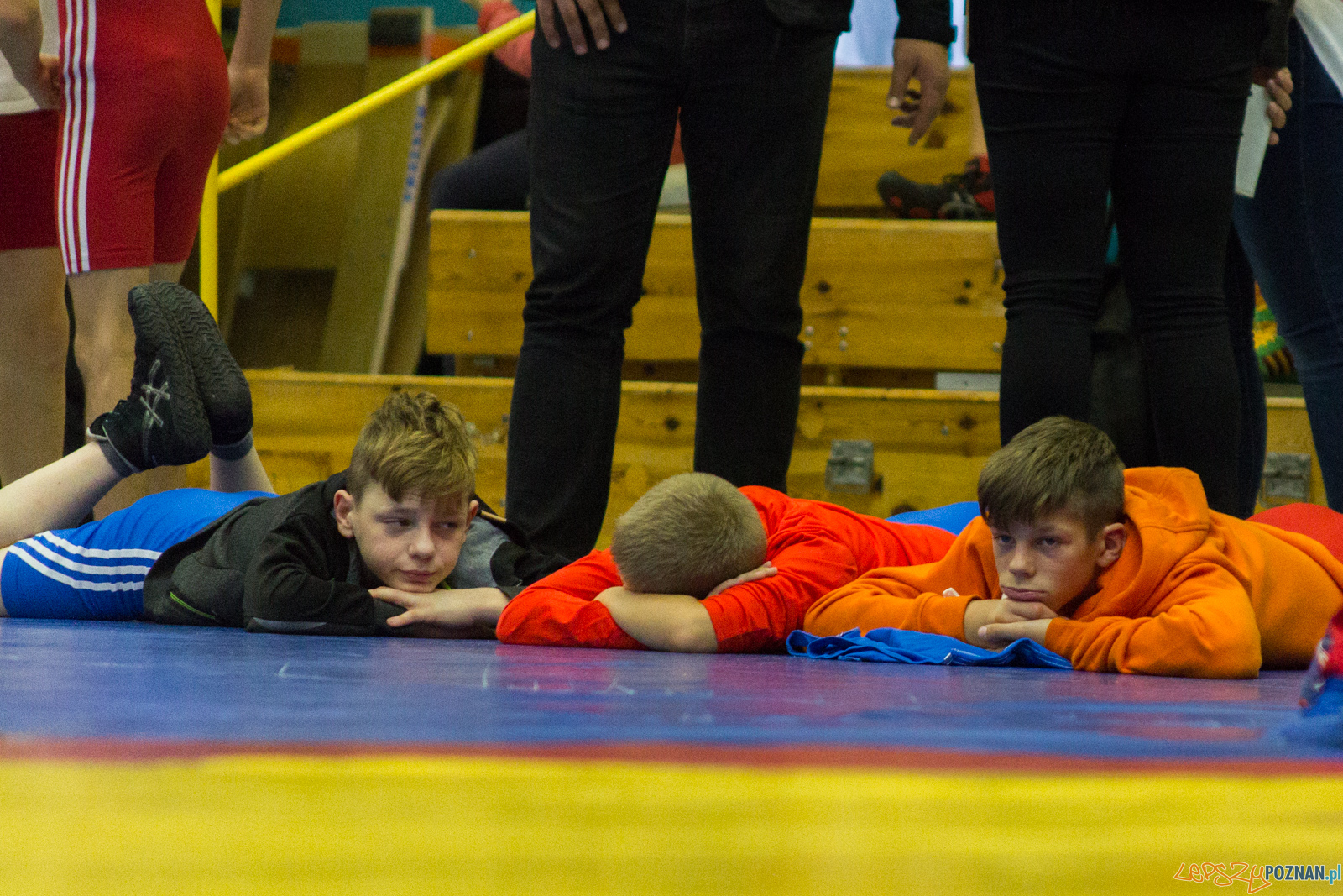 Międzywojewódzkie Mistrzostwa Młodzików Zapasy Styl Klasyczn Foto: lepszyPOZNAN.pl / Ewelina Jaskowiak Międzywojewódzkie Mistrzostwa Młodzików Zapasy Styl Klasyczn Foto: lepszyPOZNAN.pl / Ewelina Jaskowiak