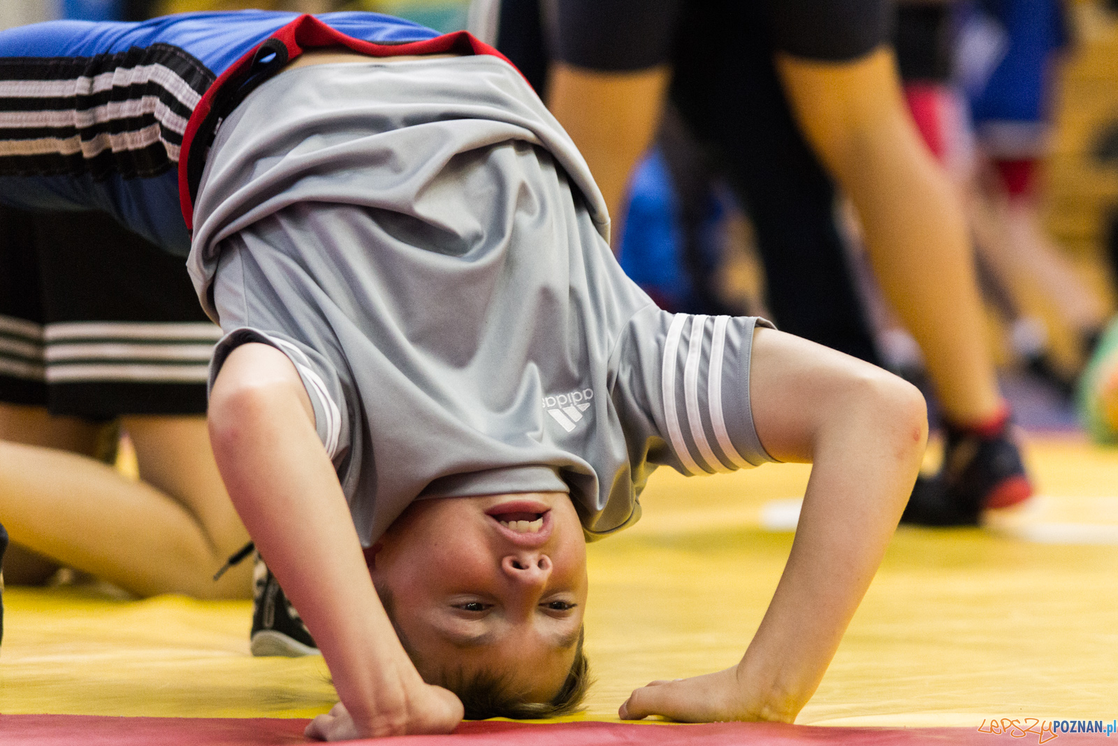 Międzywojewódzkie Mistrzostwa Młodzików Zapasy Styl Klasyczn Foto: lepszyPOZNAN.pl / Ewelina Jaskowiak Międzywojewódzkie Mistrzostwa Młodzików Zapasy Styl Klasyczn Foto: lepszyPOZNAN.pl / Ewelina Jaskowiak